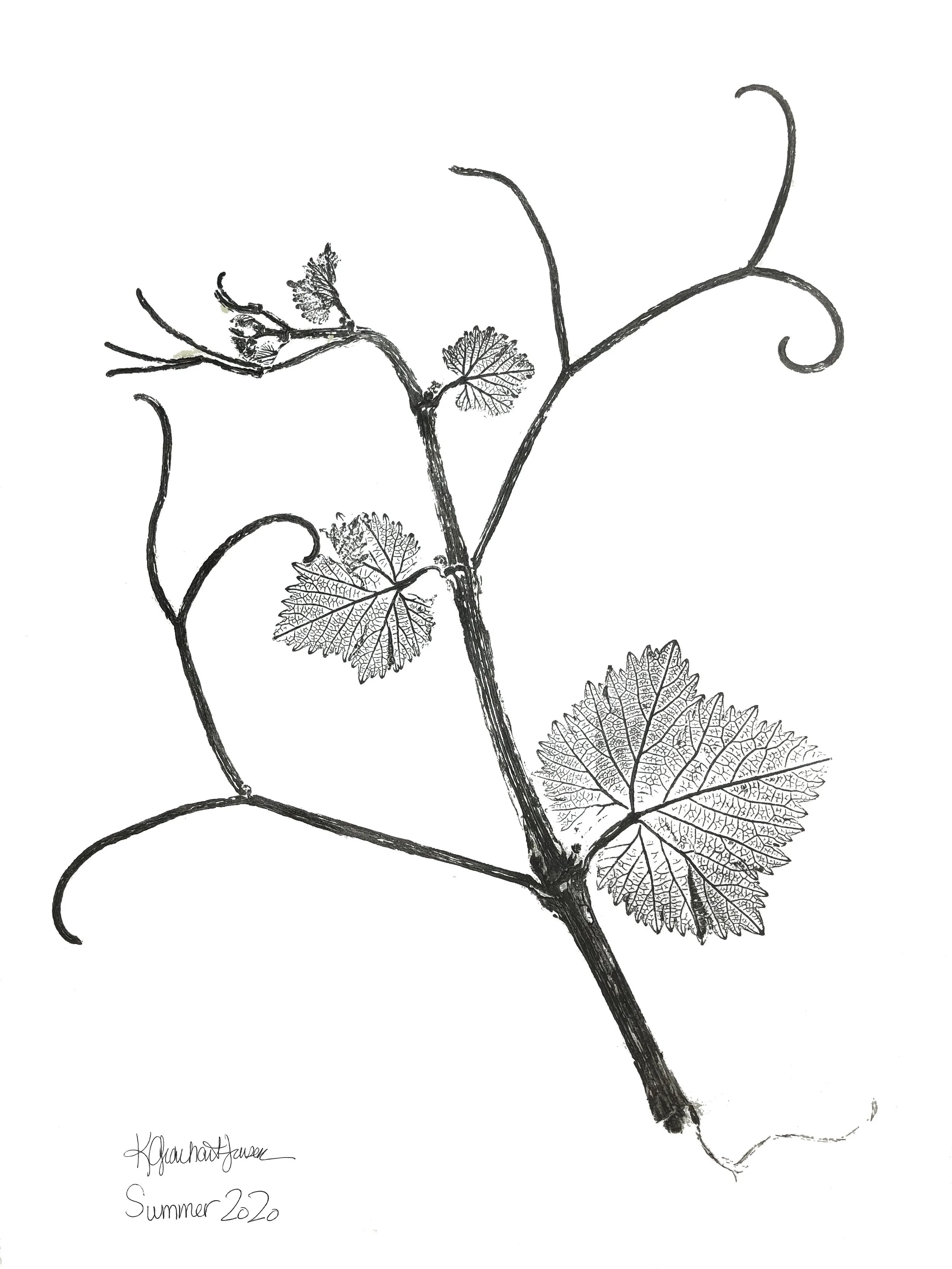 ☀️🍷 Wine Member Celebration Spring Release in Montecito