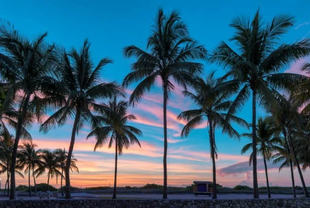 🌴🍷 Clementine Carter in Florida!