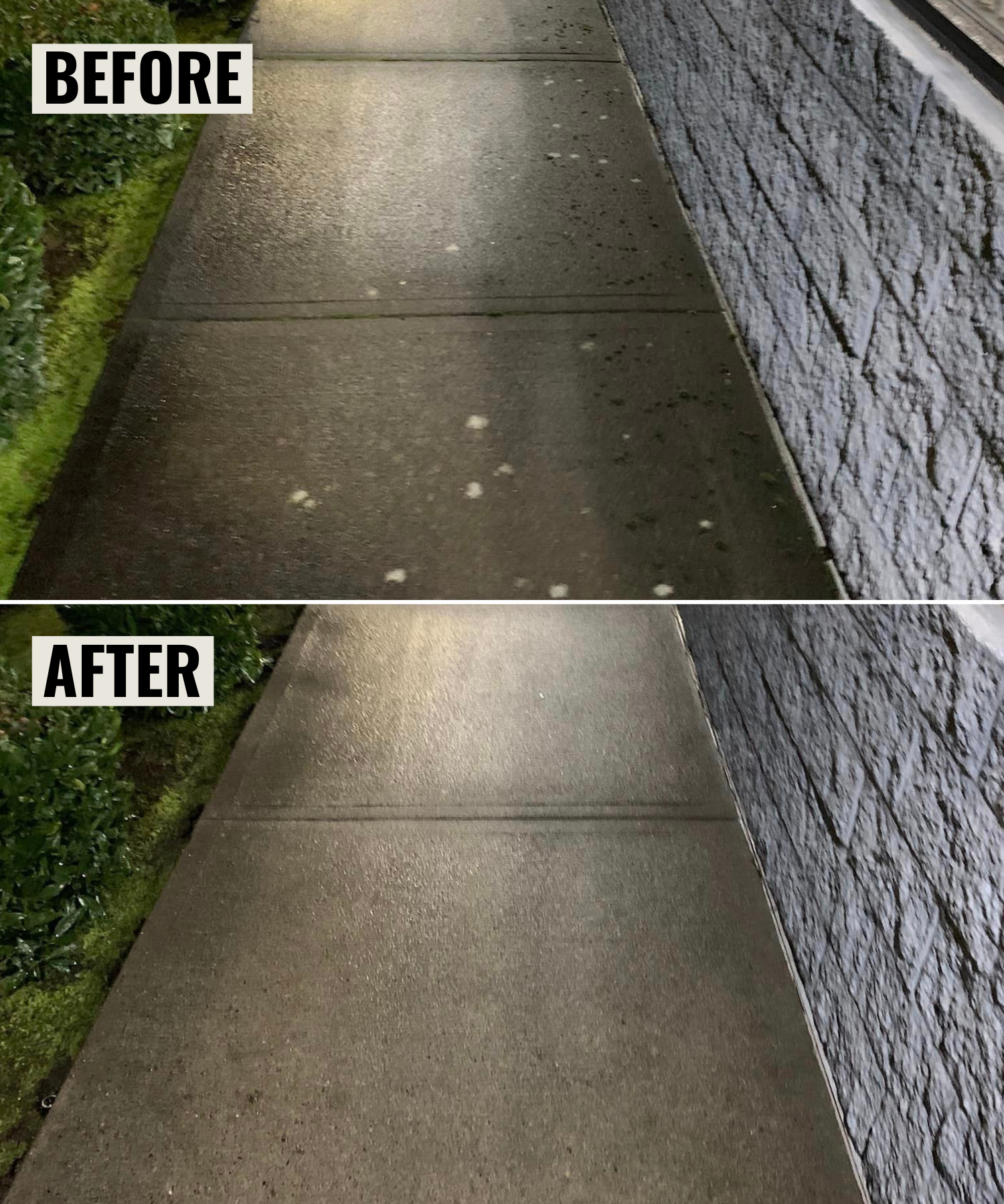 Business Pressure Washing.png