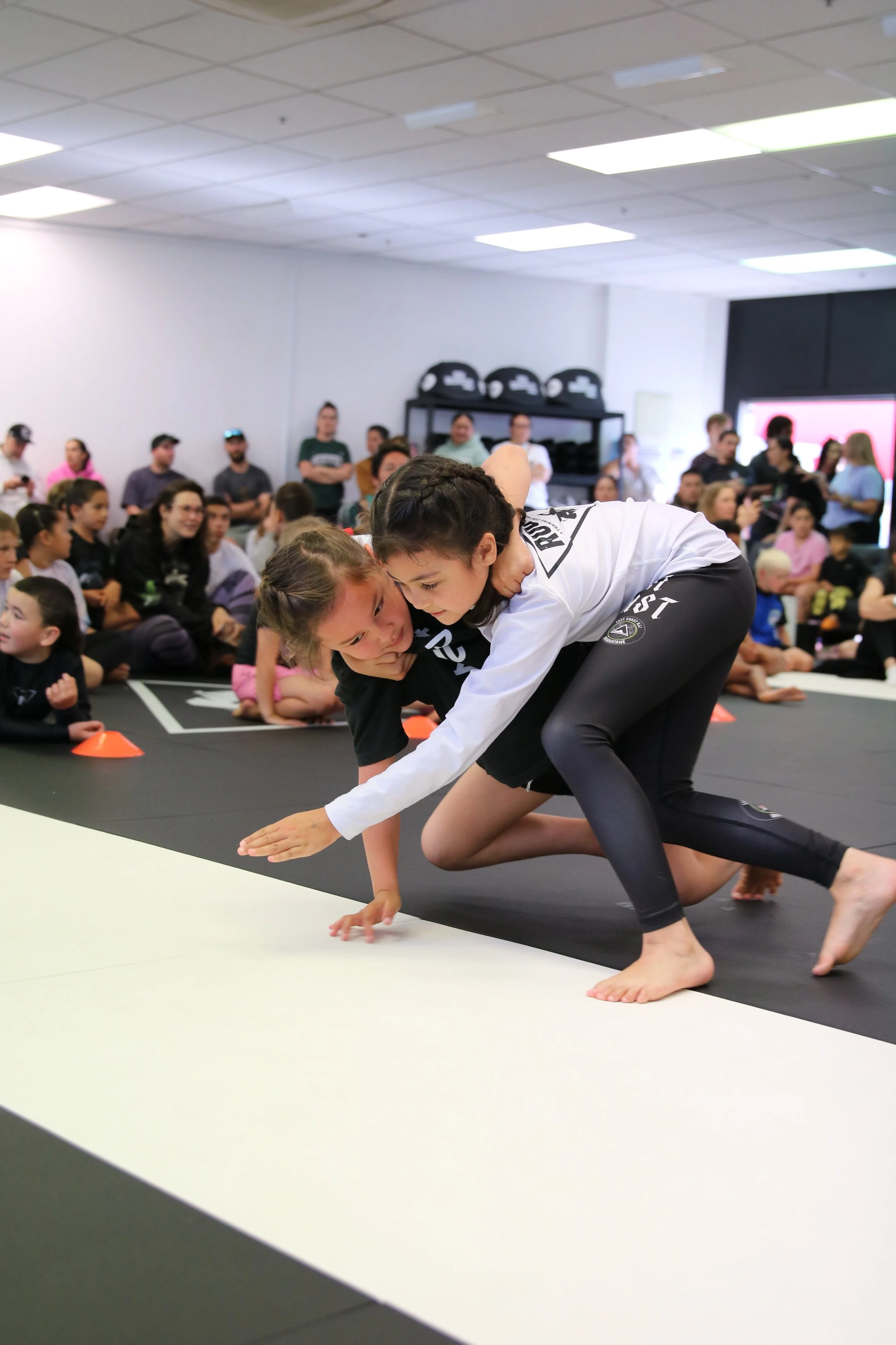 Rogue Training Centre