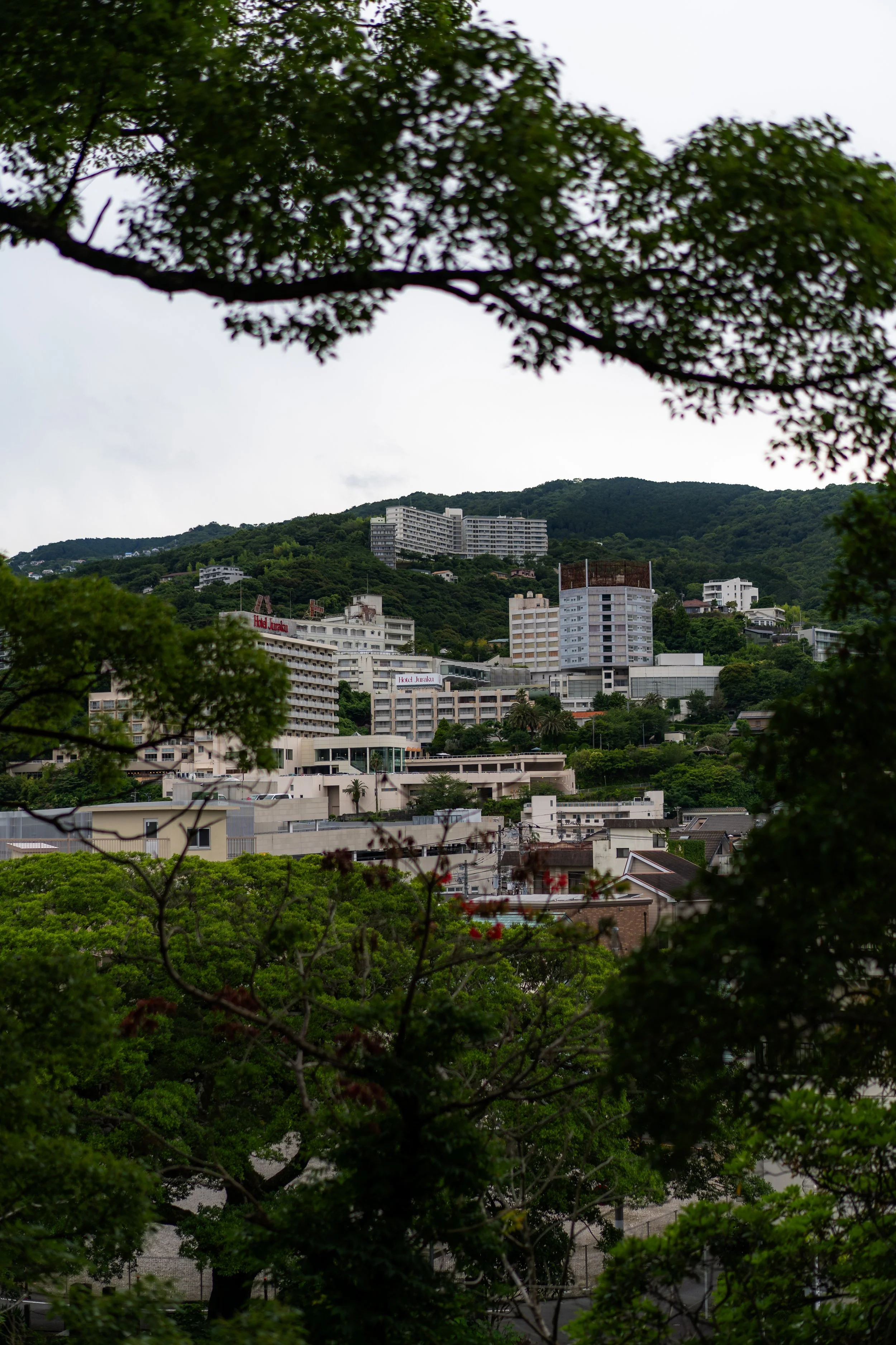 Ito 6.22.26-124.jpg