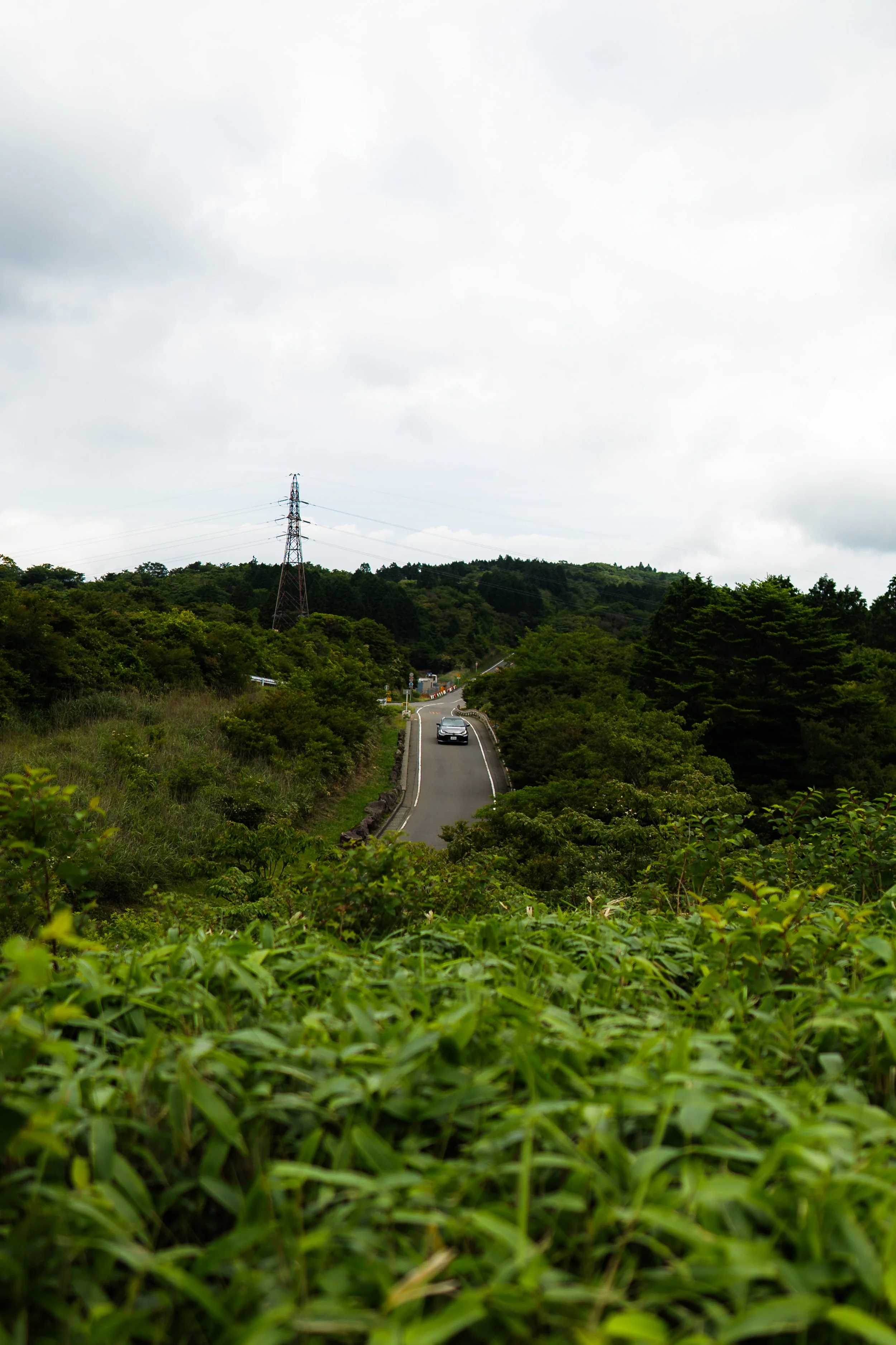Ito 6.22.26-075.jpg