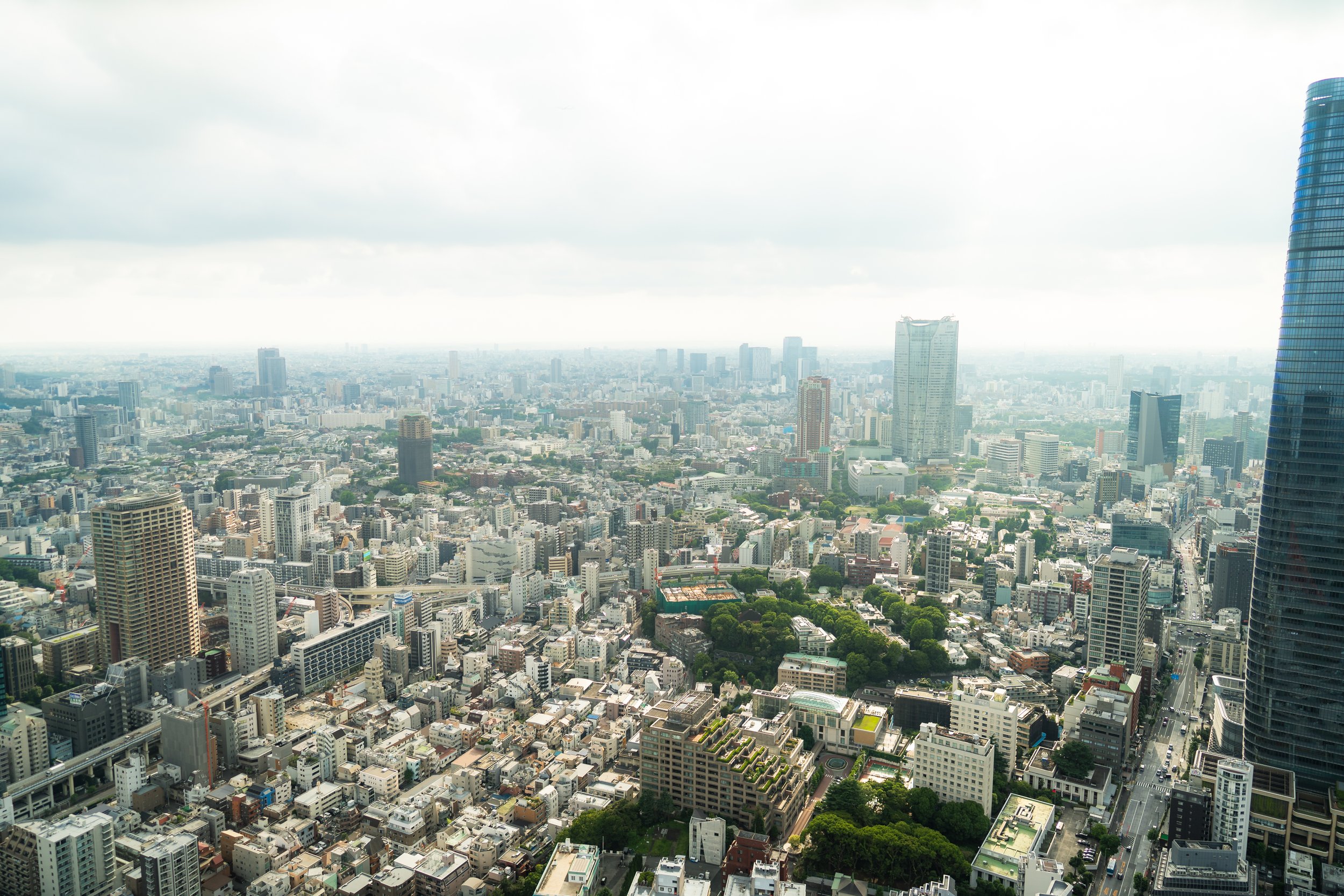 Minato 6.19.26-50.jpg