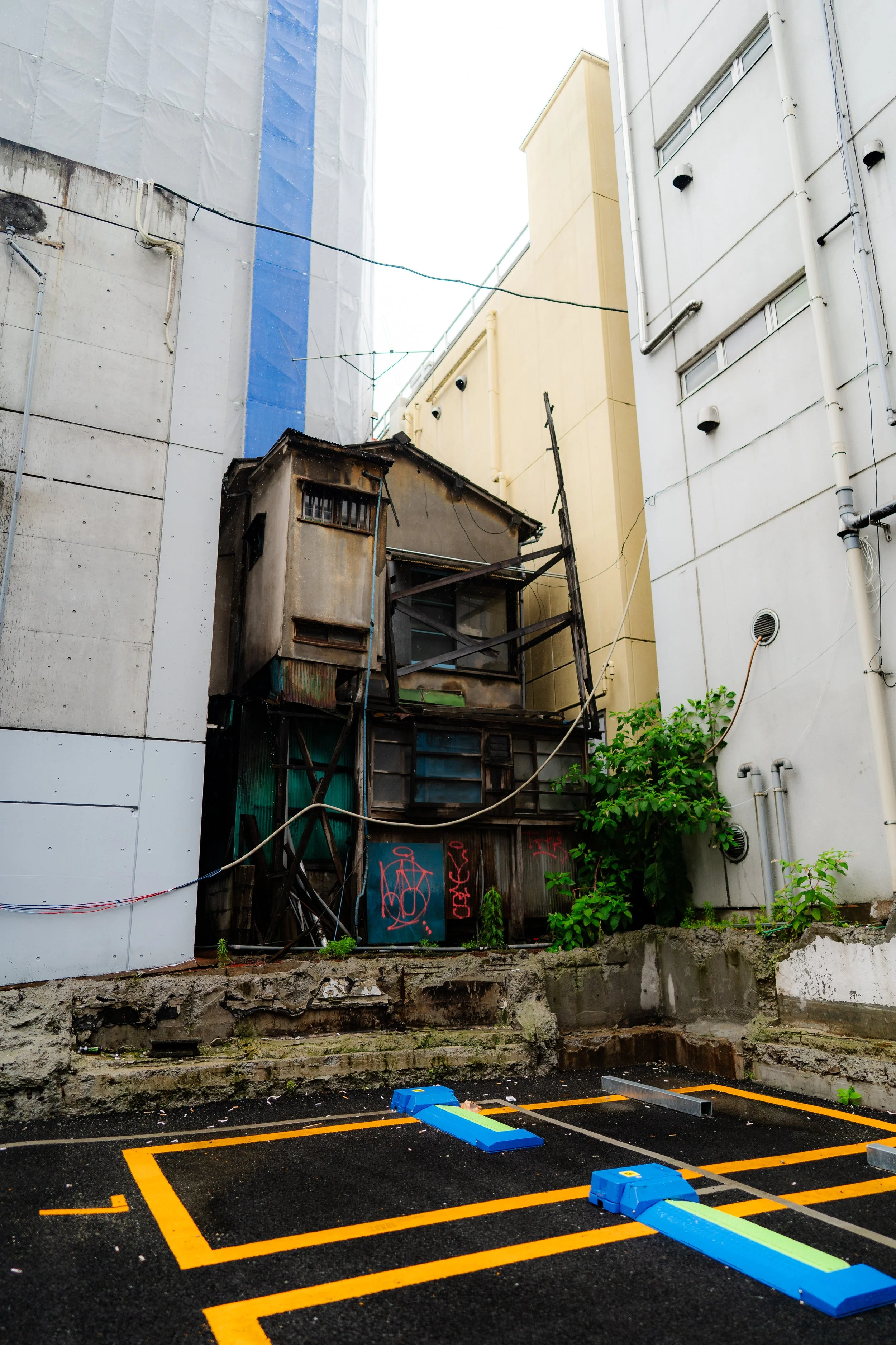 Shibuya 6.18.26-36.jpg