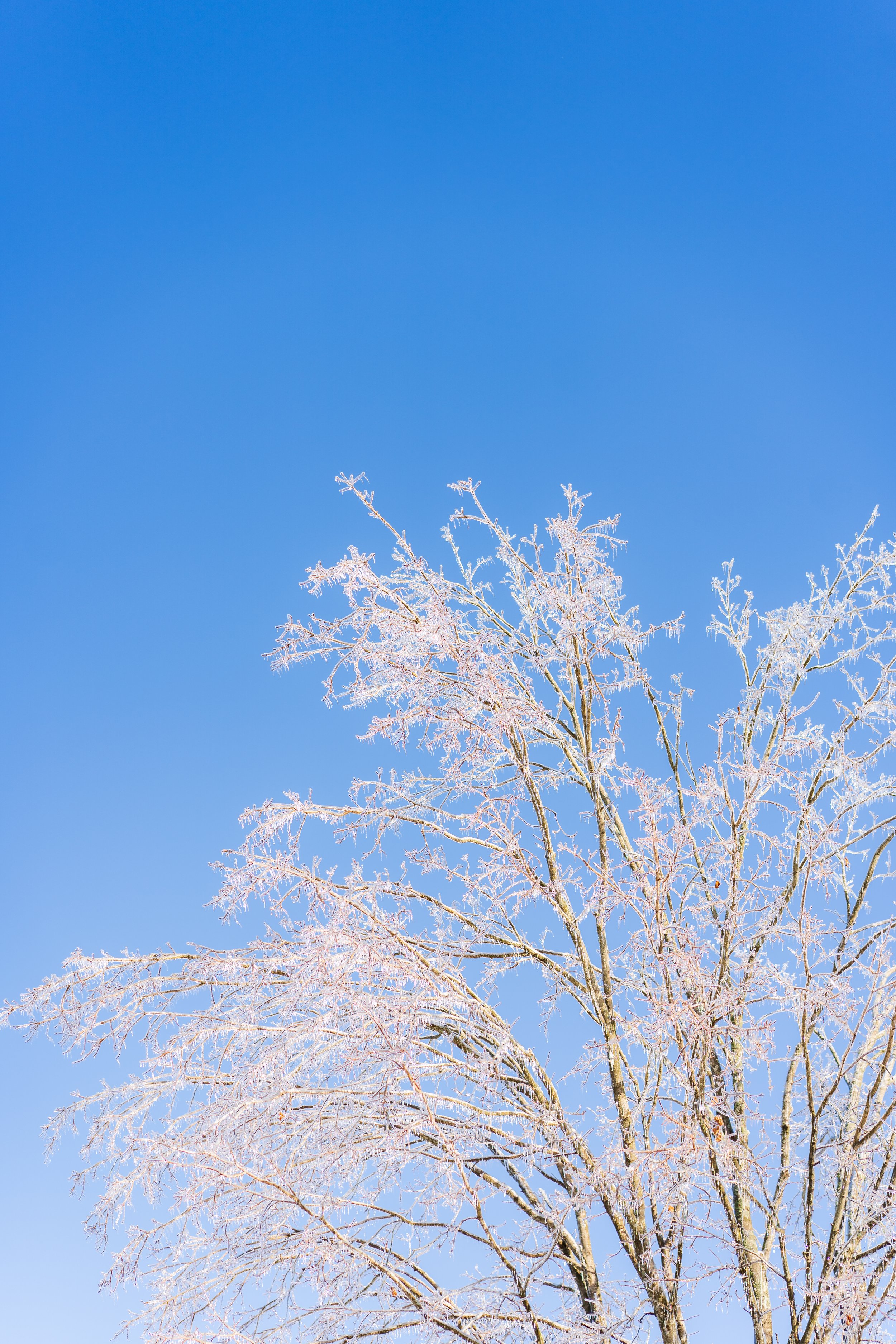 Kinsdale 1.27.26-3.jpg