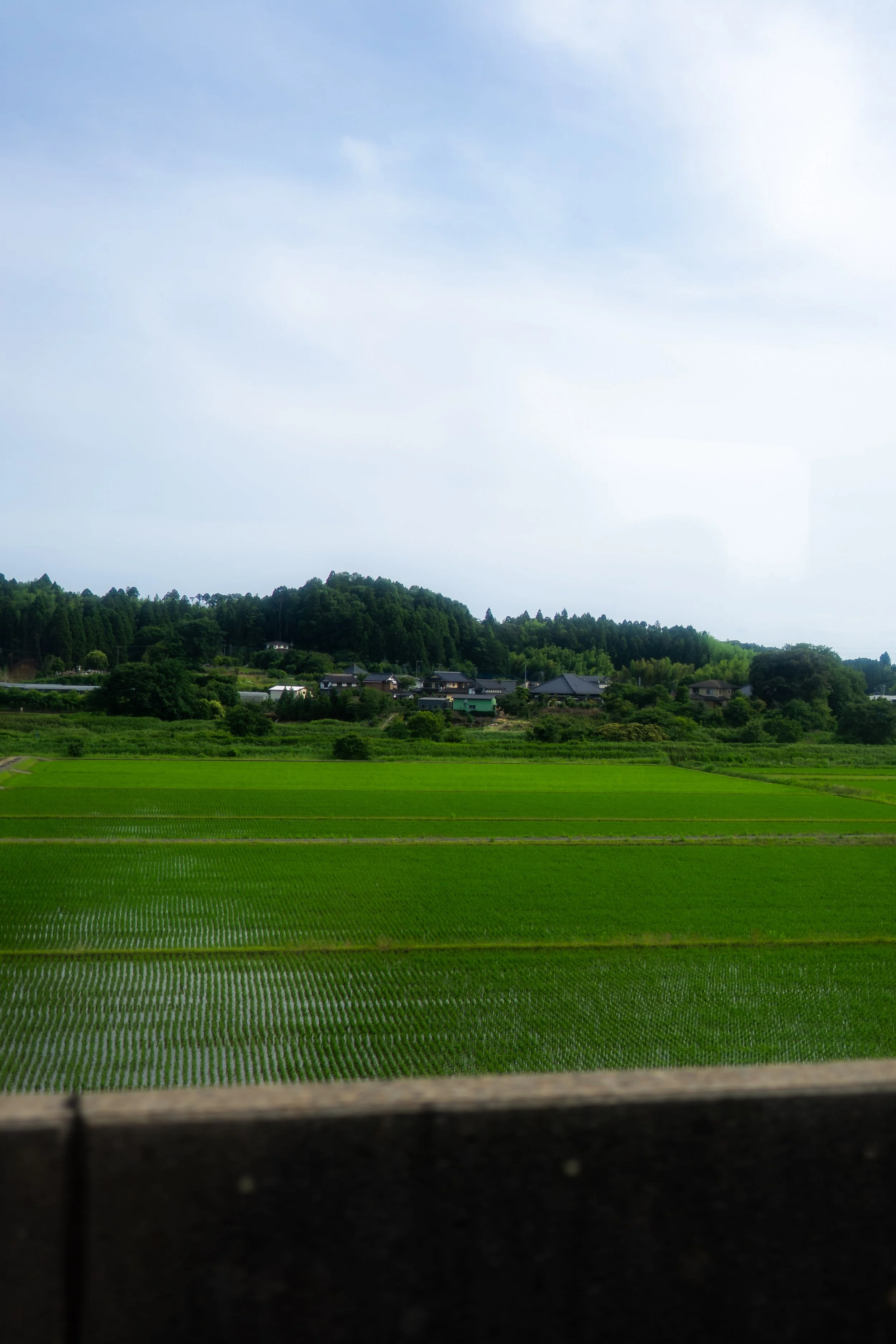 Tokyo 6.17.26-1.jpg