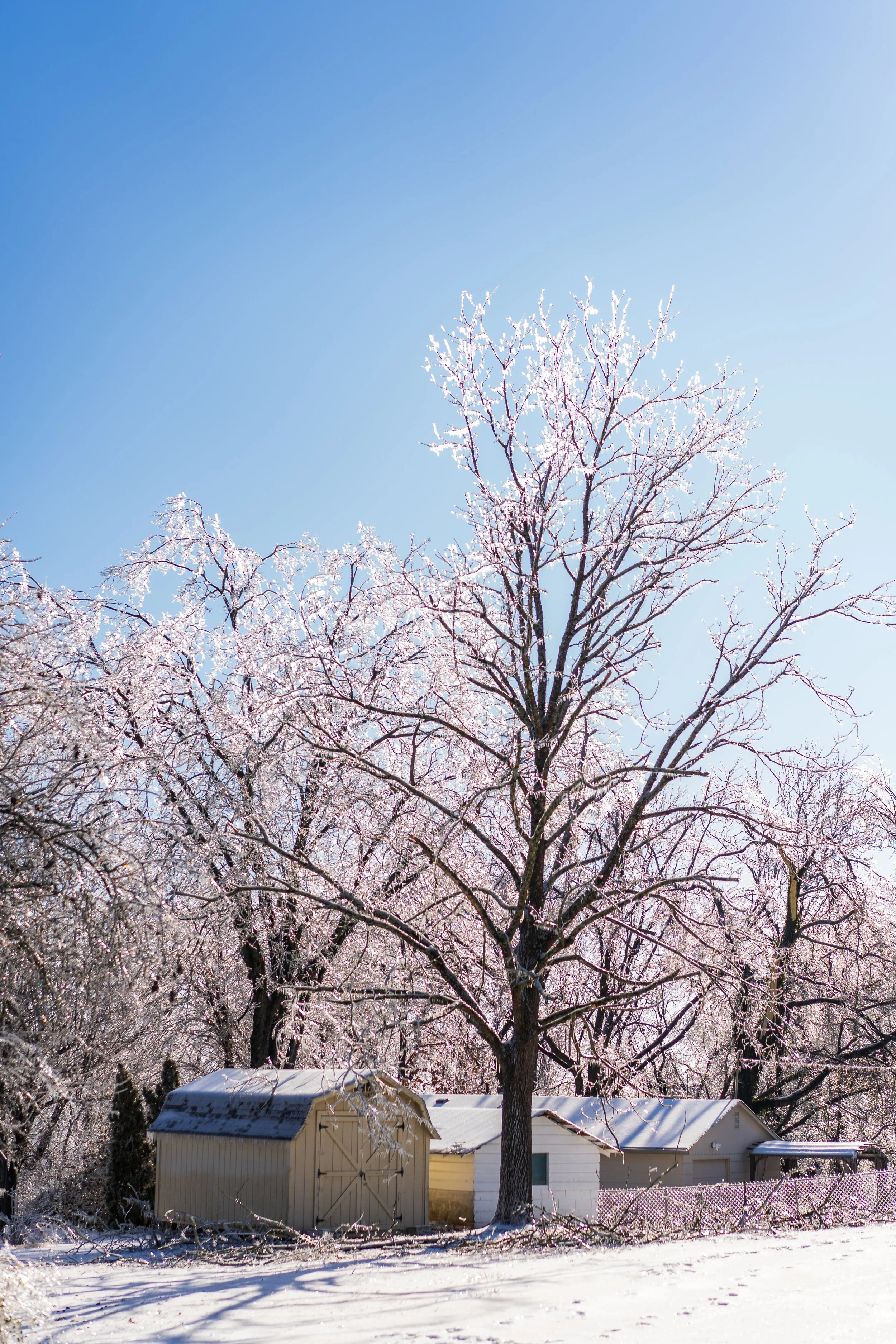 Kinsdale 1.27.26-2.jpg