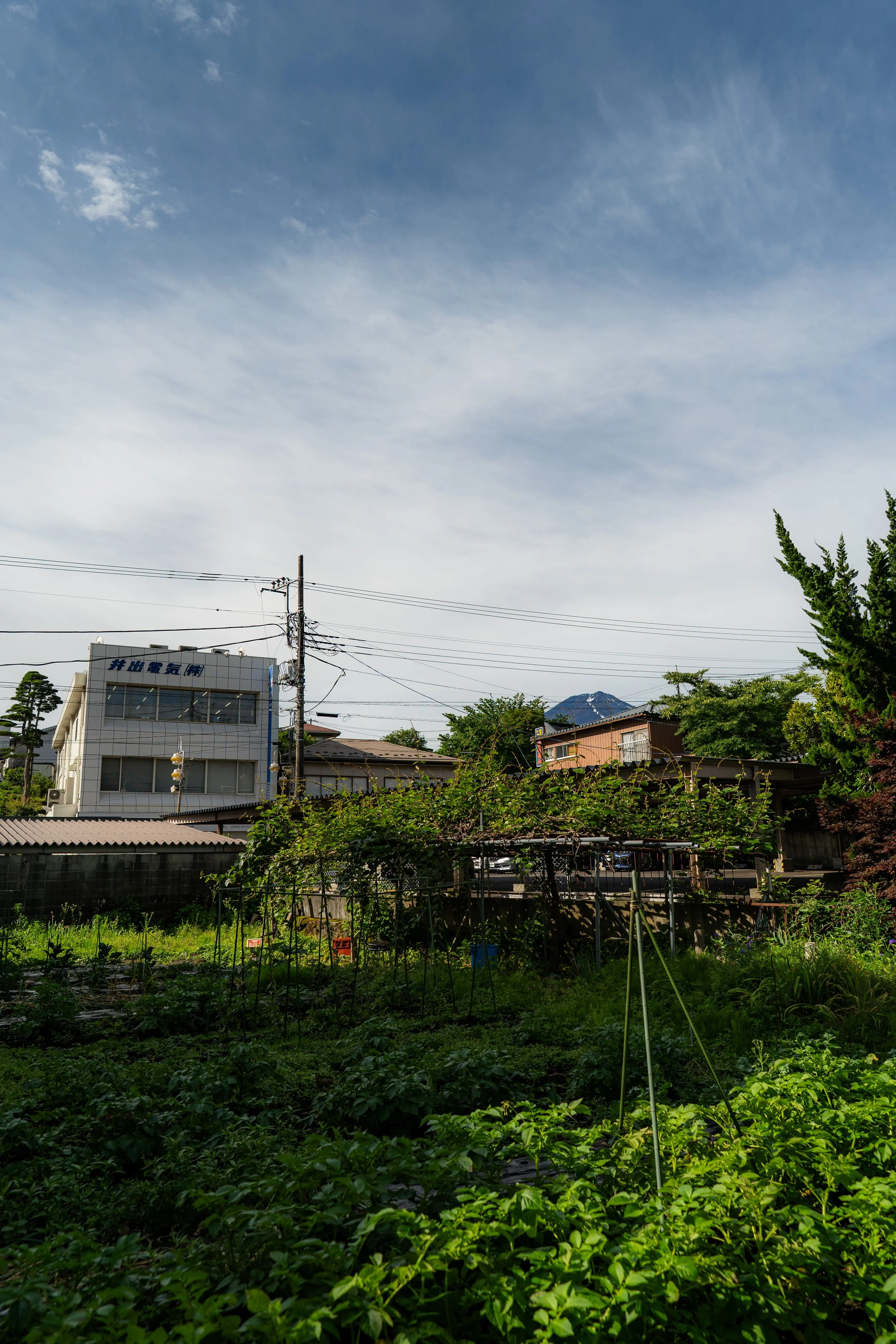 Ito 6.22.26-007.jpg