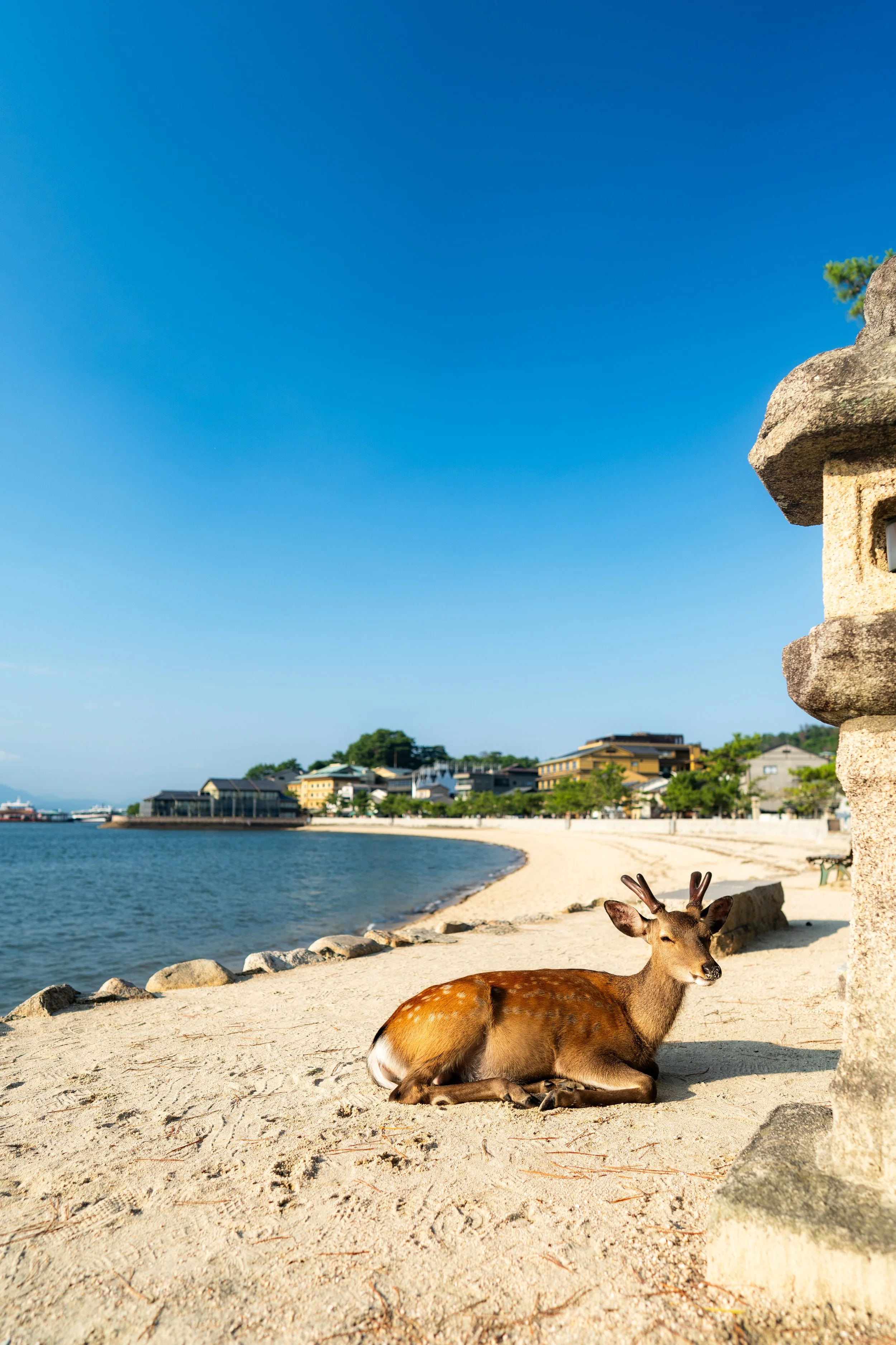 Hiroshima 6.27.26-21.jpg