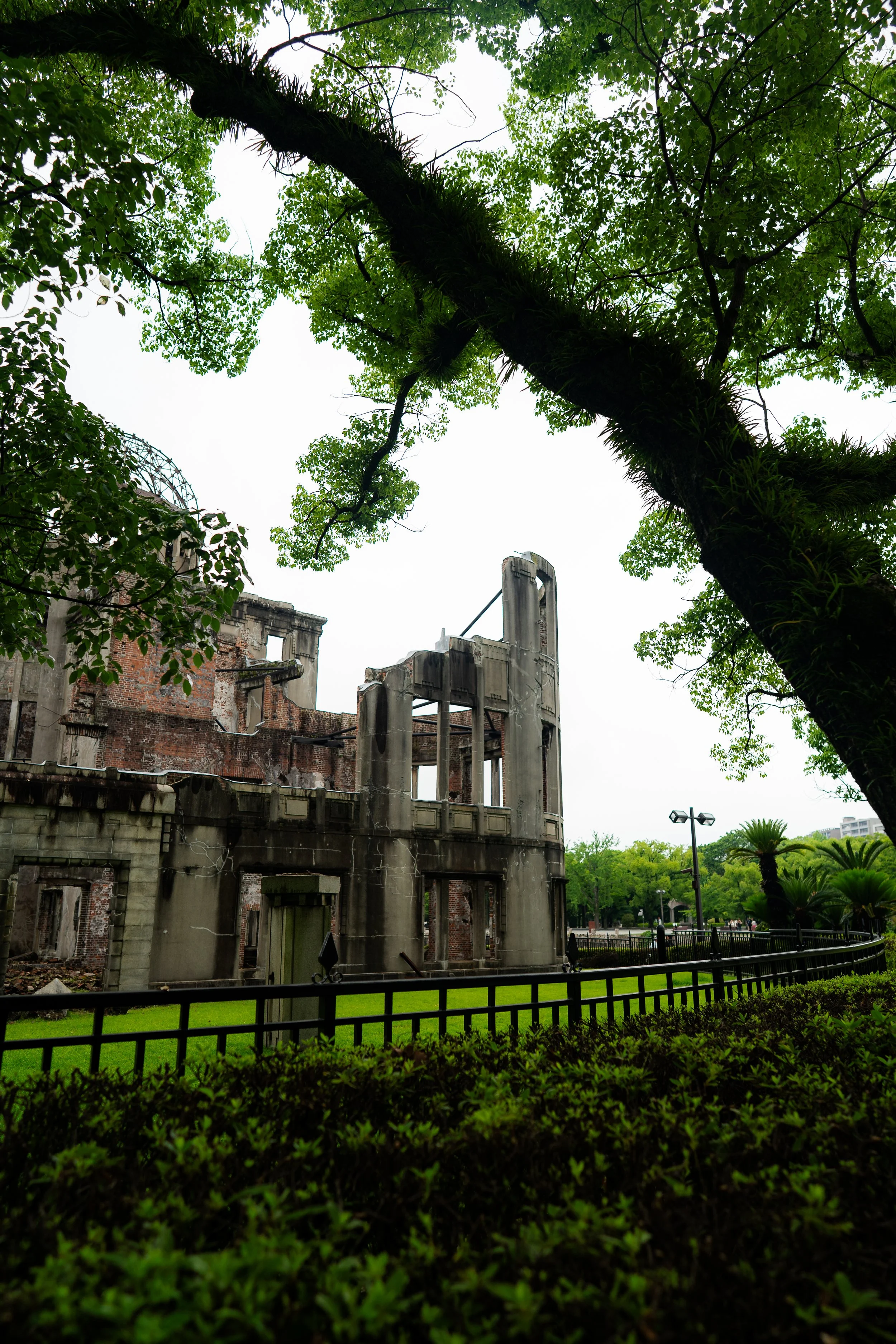 Hiroshima 2.27.26-106.jpg