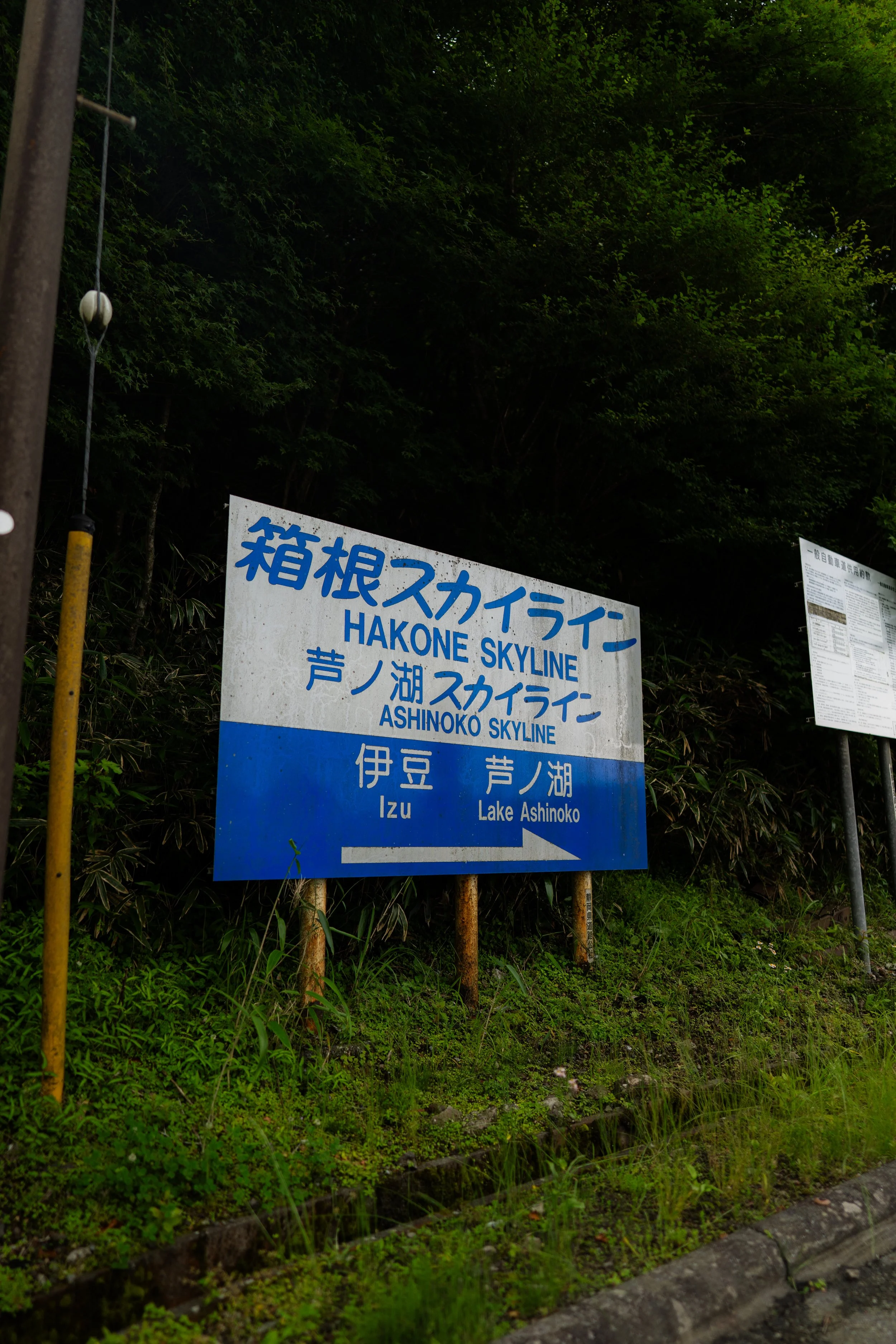 Ito 6.22.26-025.jpg