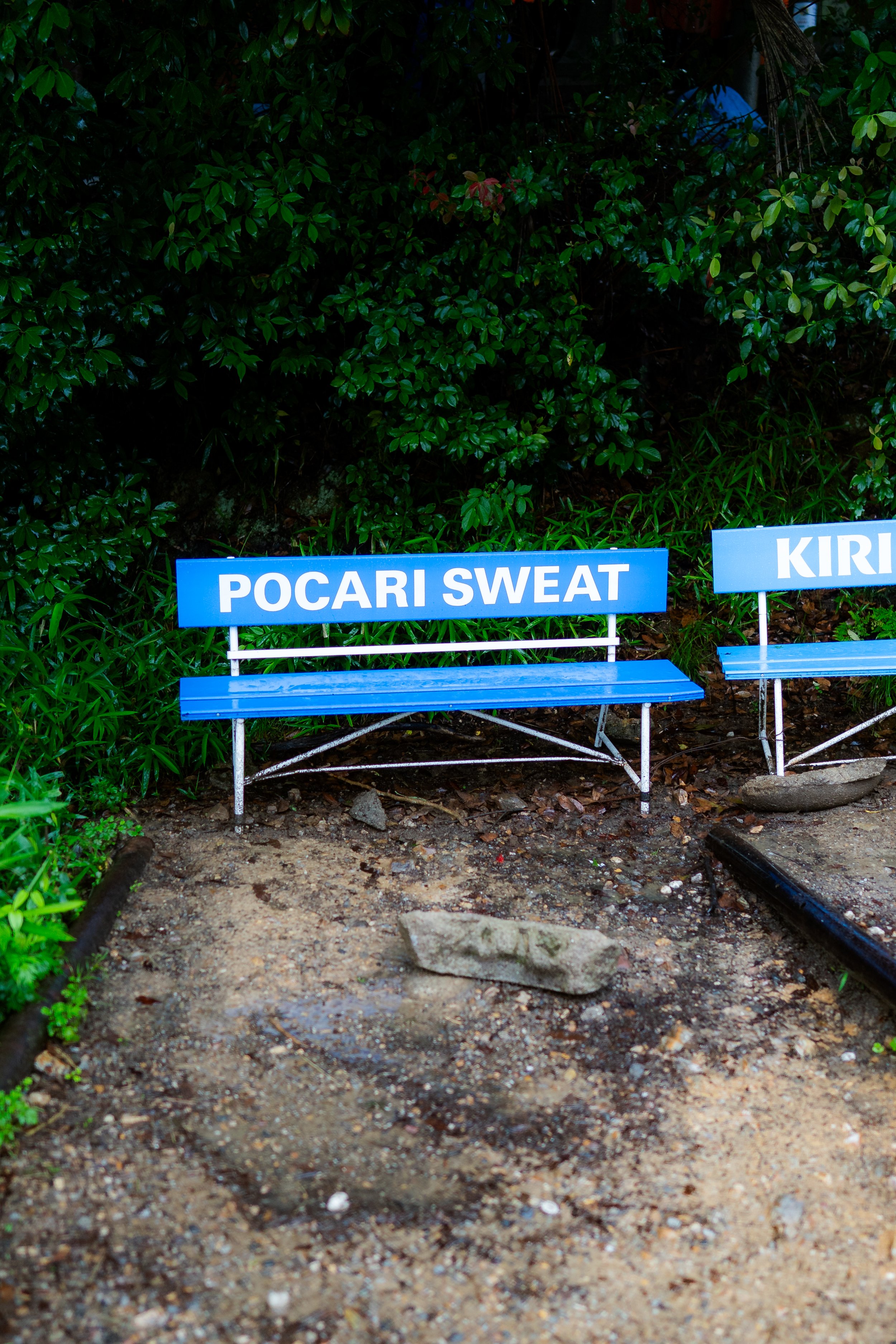Kyoto 6.25.26-21.jpg