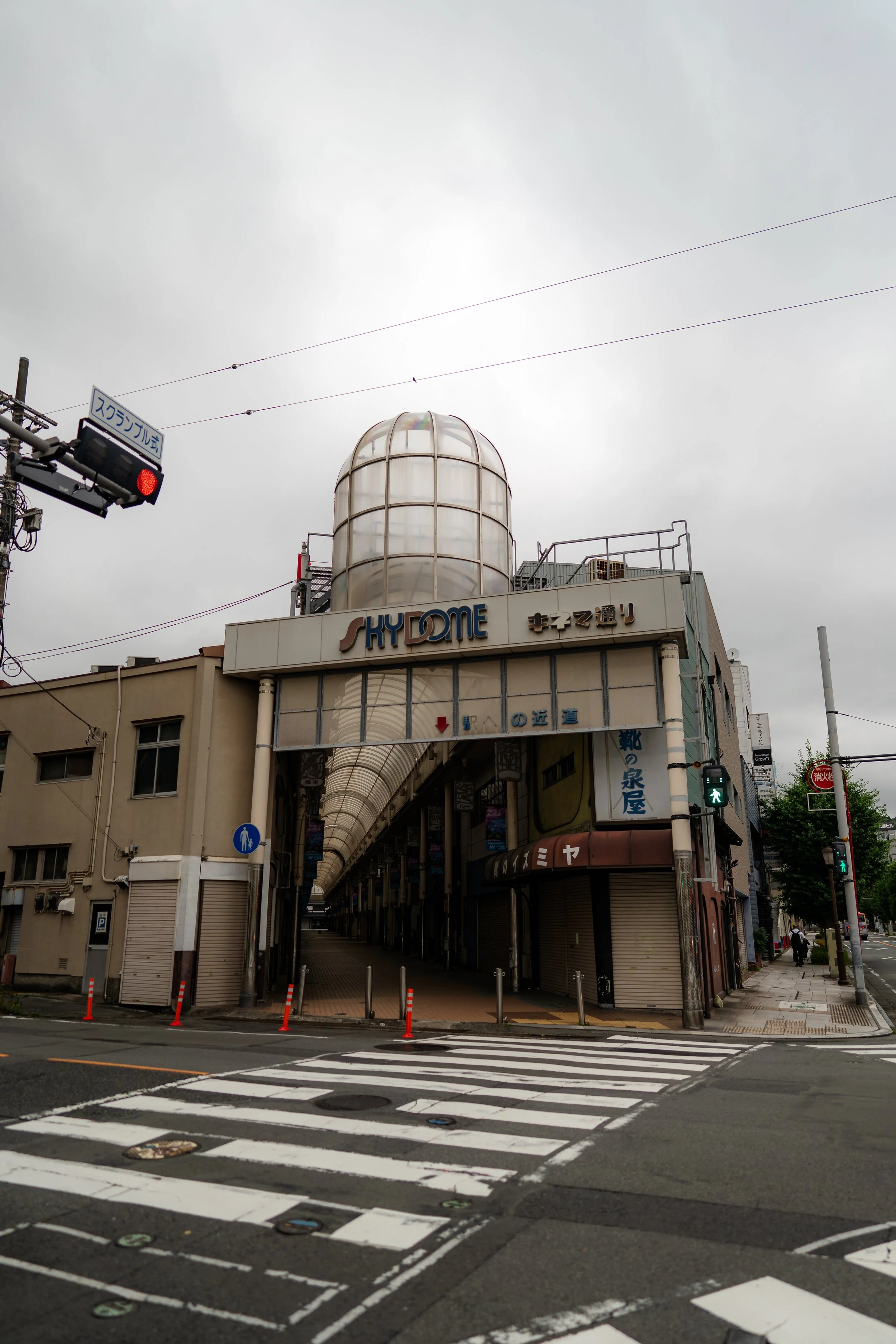 Izu Peninsula 6.23.26-20.jpg