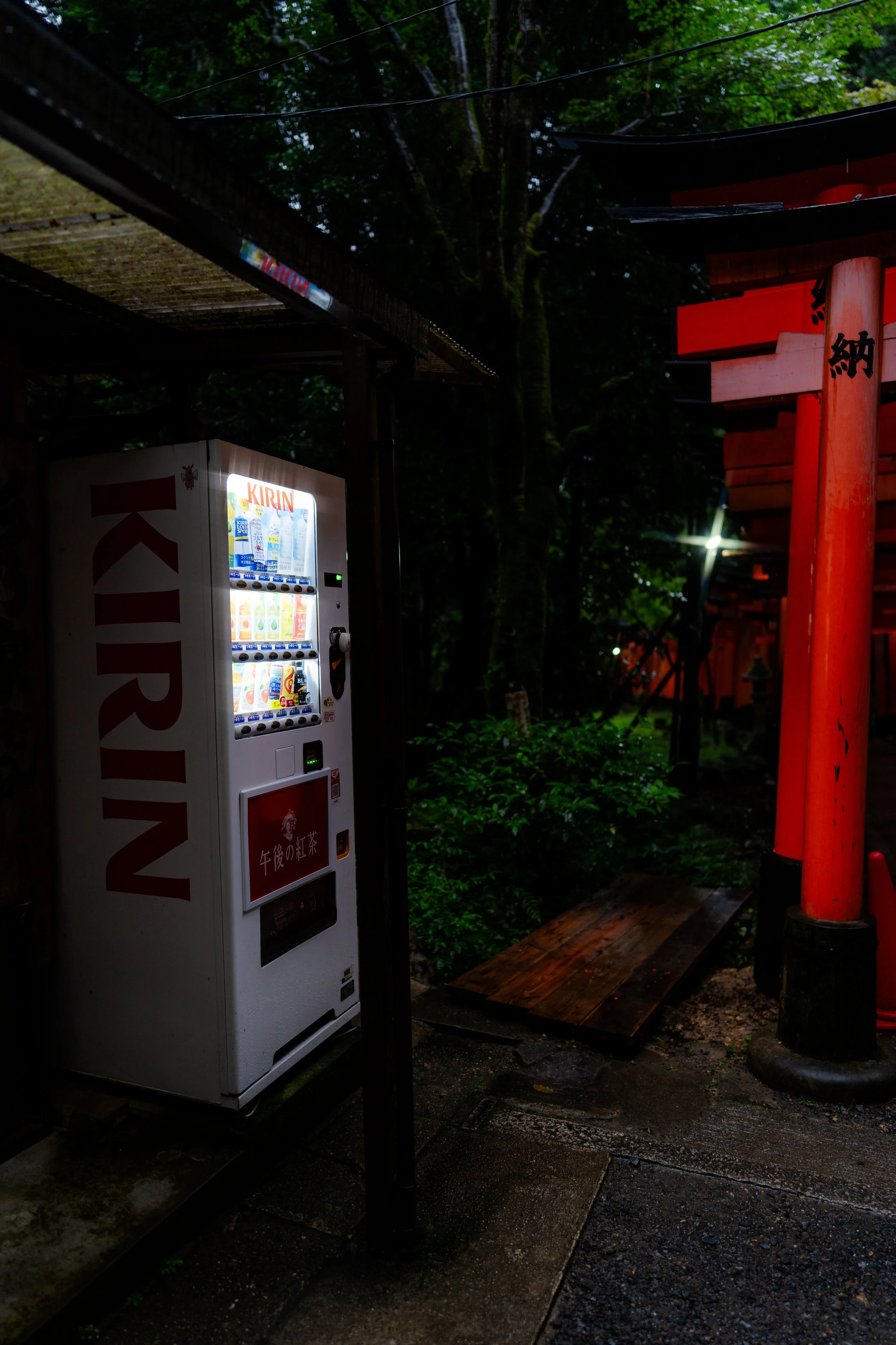 Kyoto 6.25.26-16.jpg