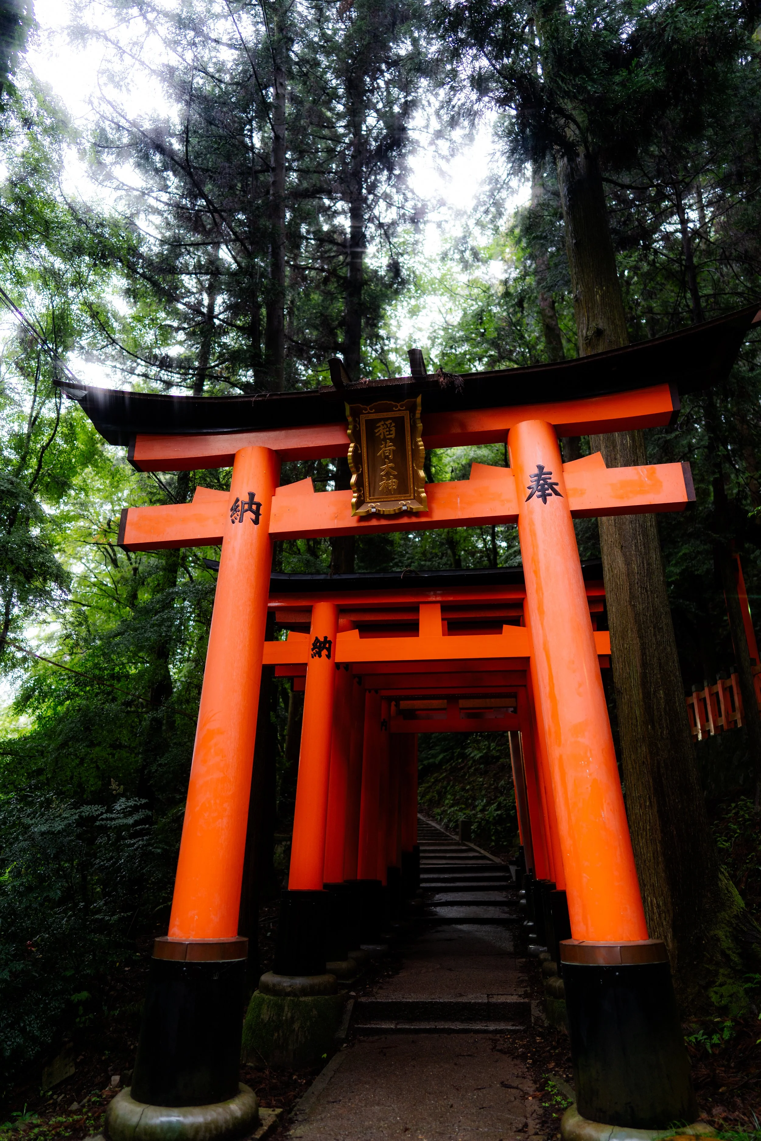 Kyoto 6.25.26-17.jpg