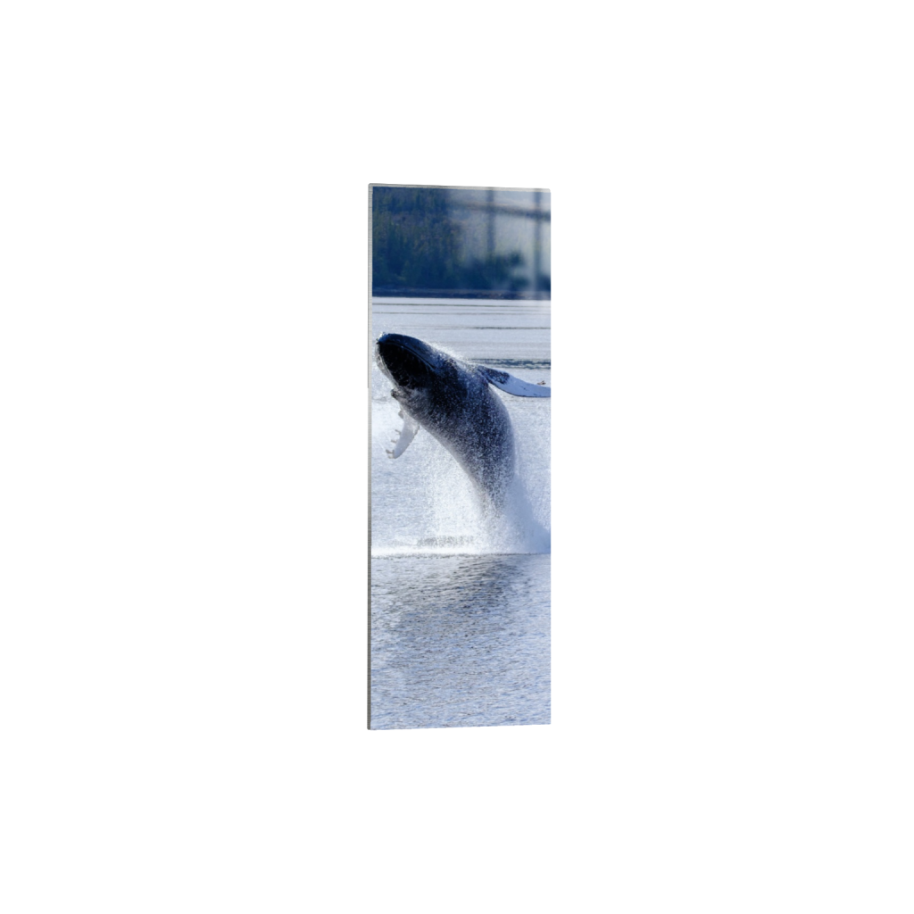 ptq_13_2_482_0_1469_4408_0_false_ffffff_0_0_.png