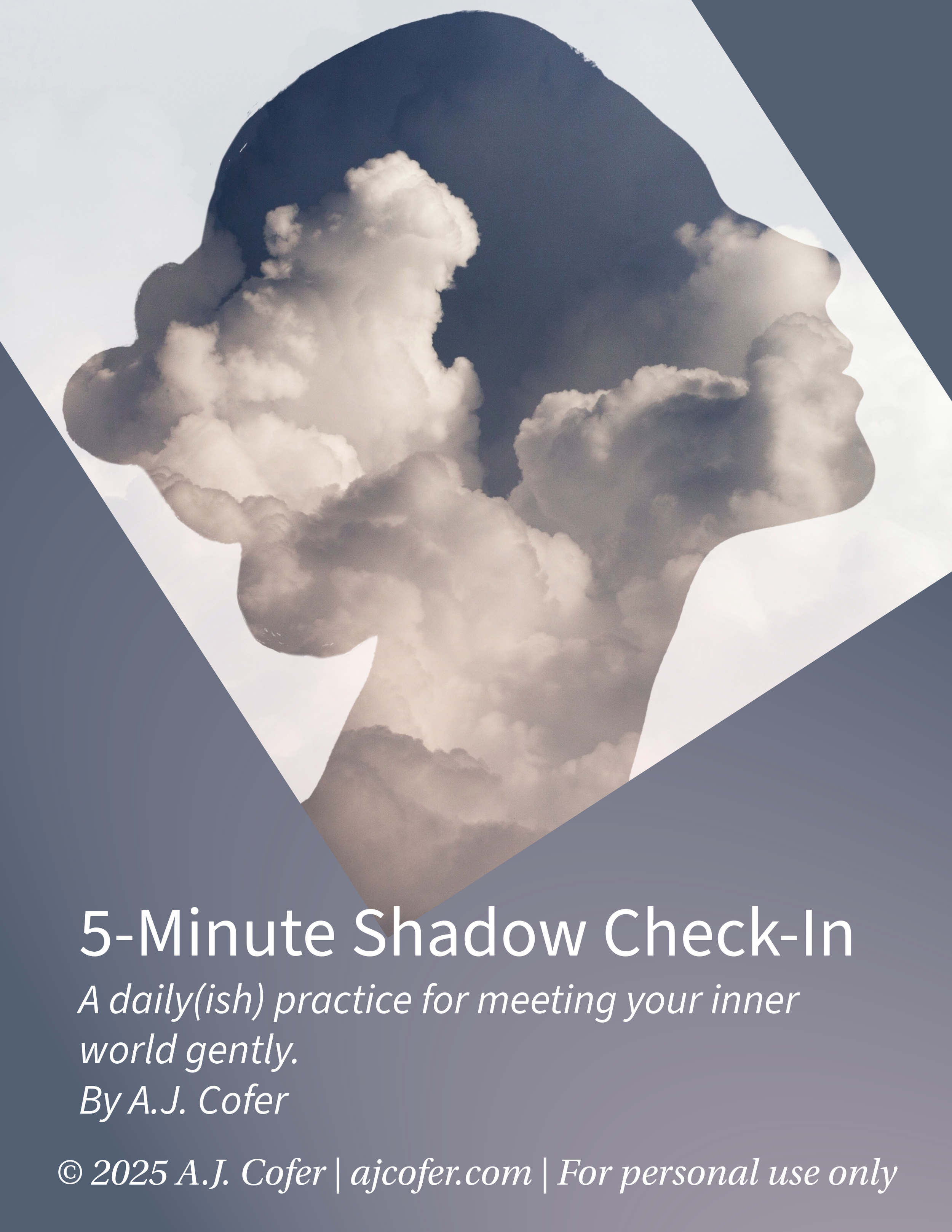 5-Minute Shadow Check-In