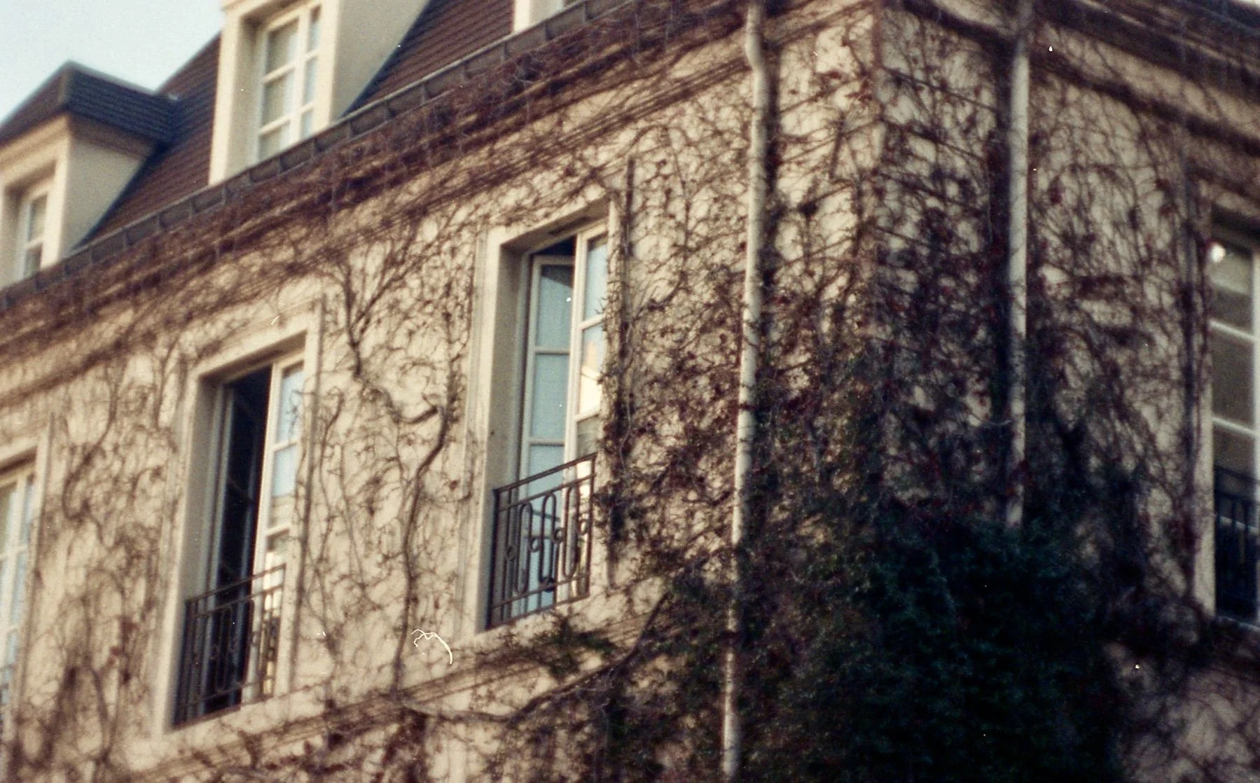 img071.jpg
