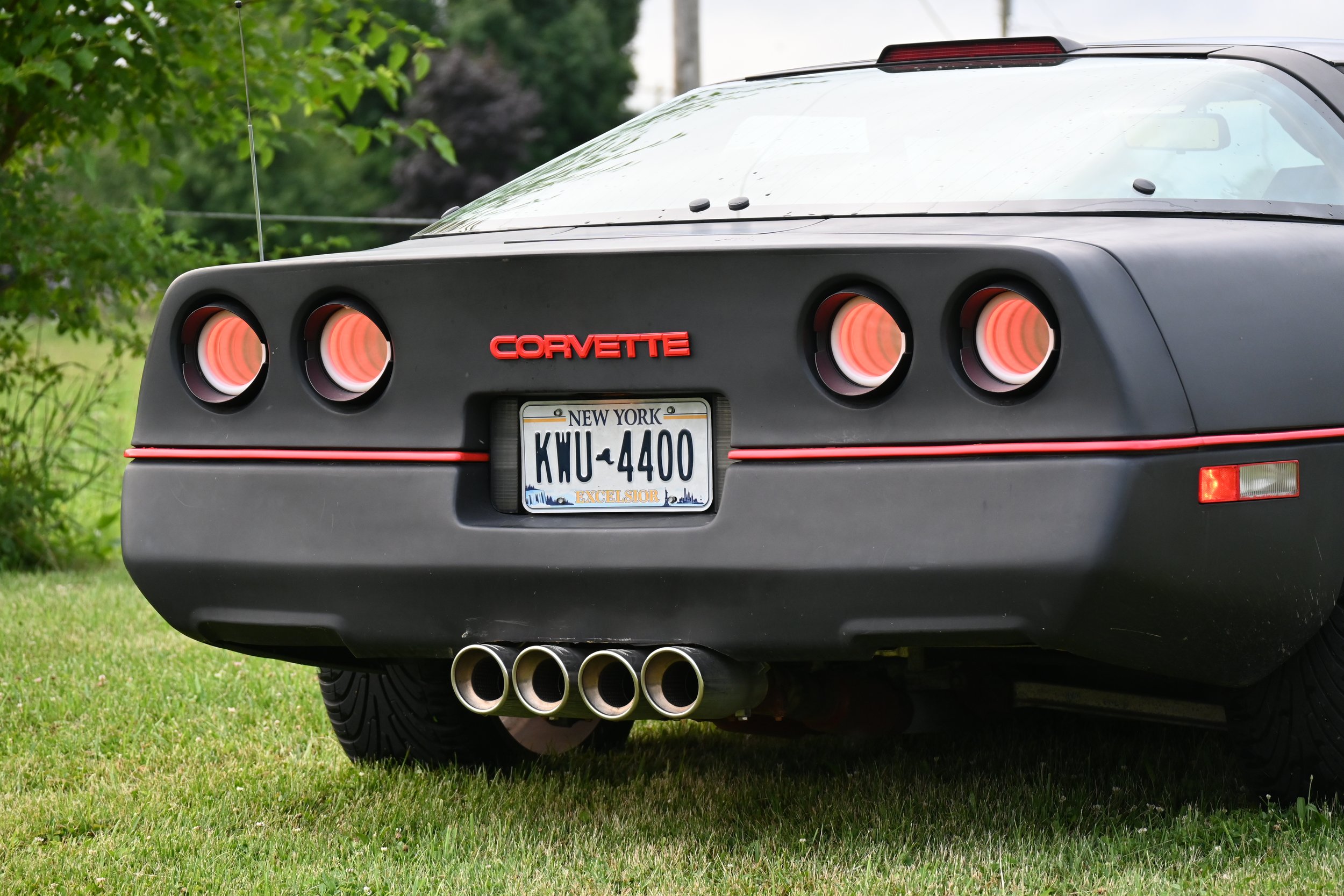DSC_2913.jpg