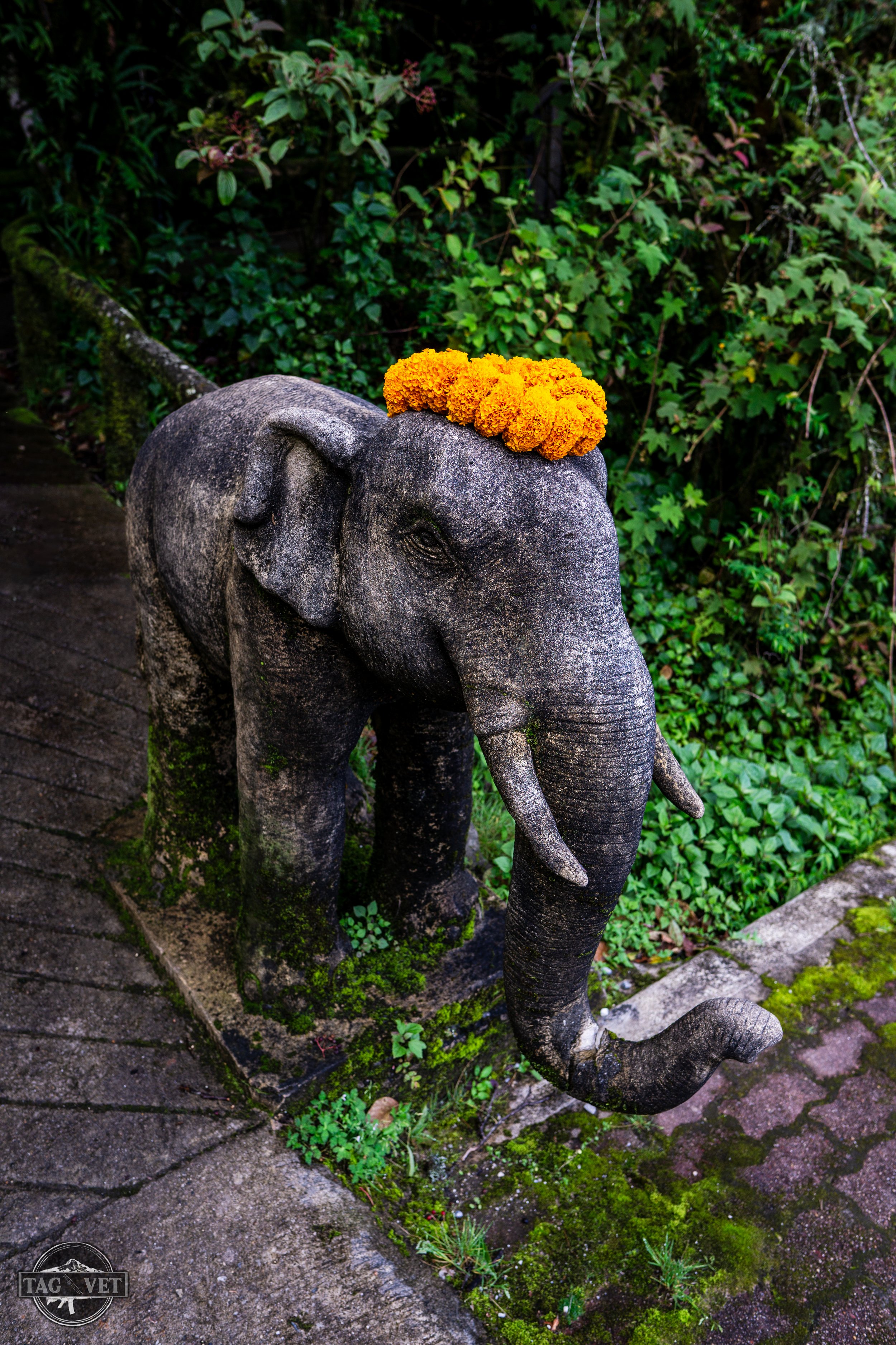 Elephant Statue.jpg
