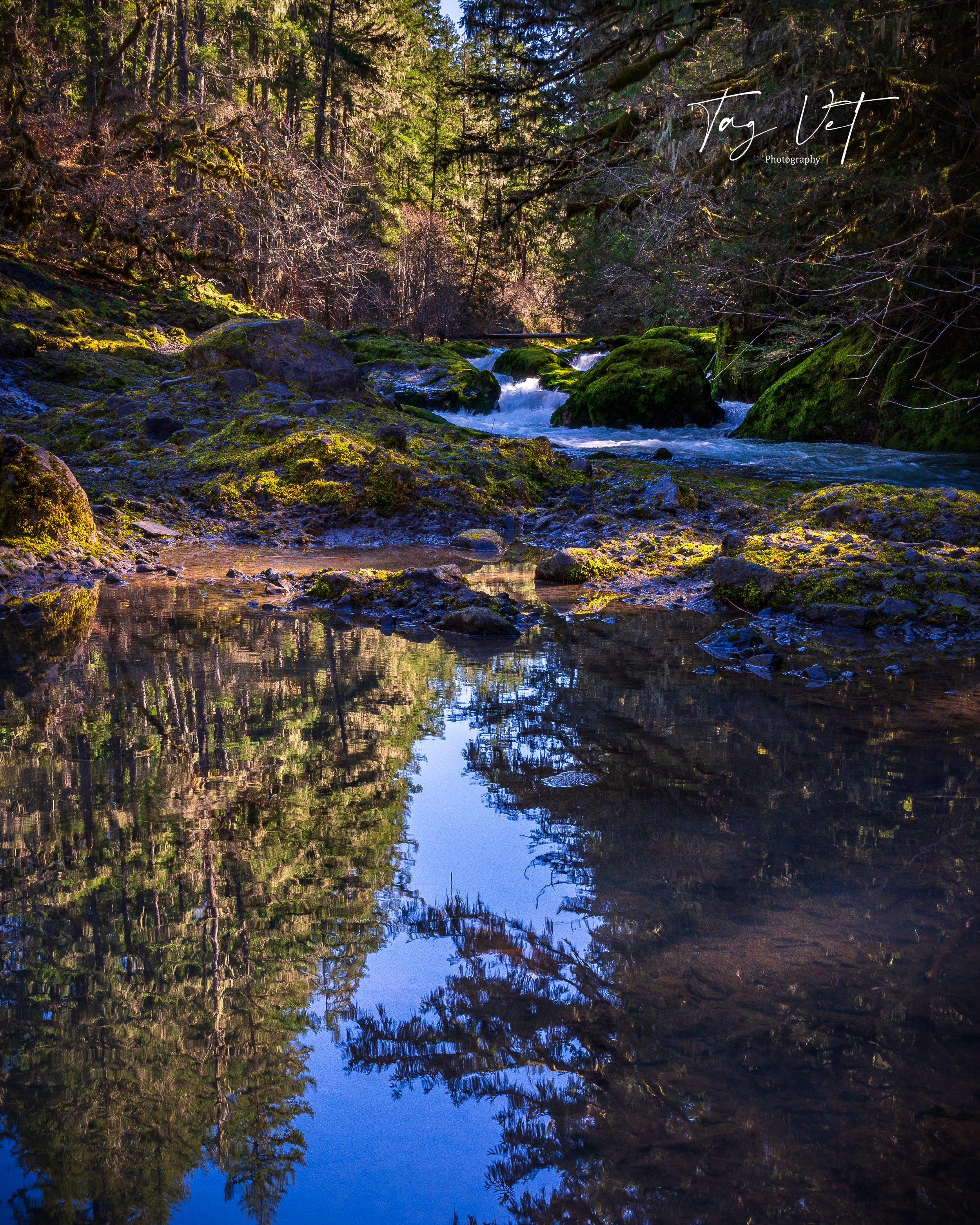 Deschutes River Reflections.jpg
