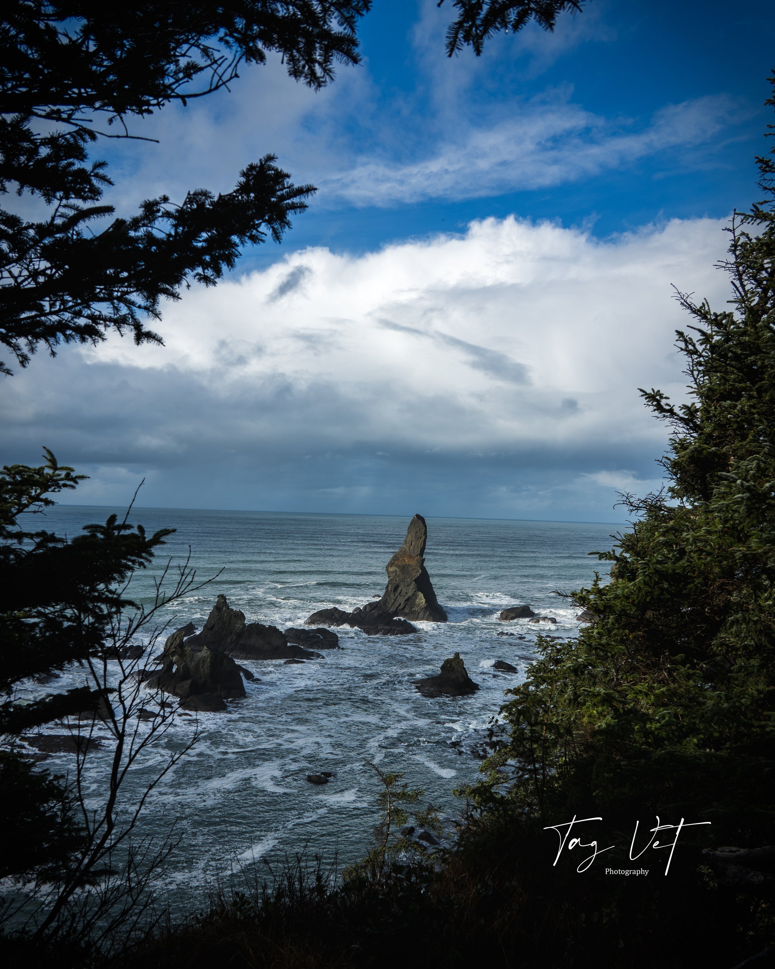 Shi Shi Hike in Clearing.jpg