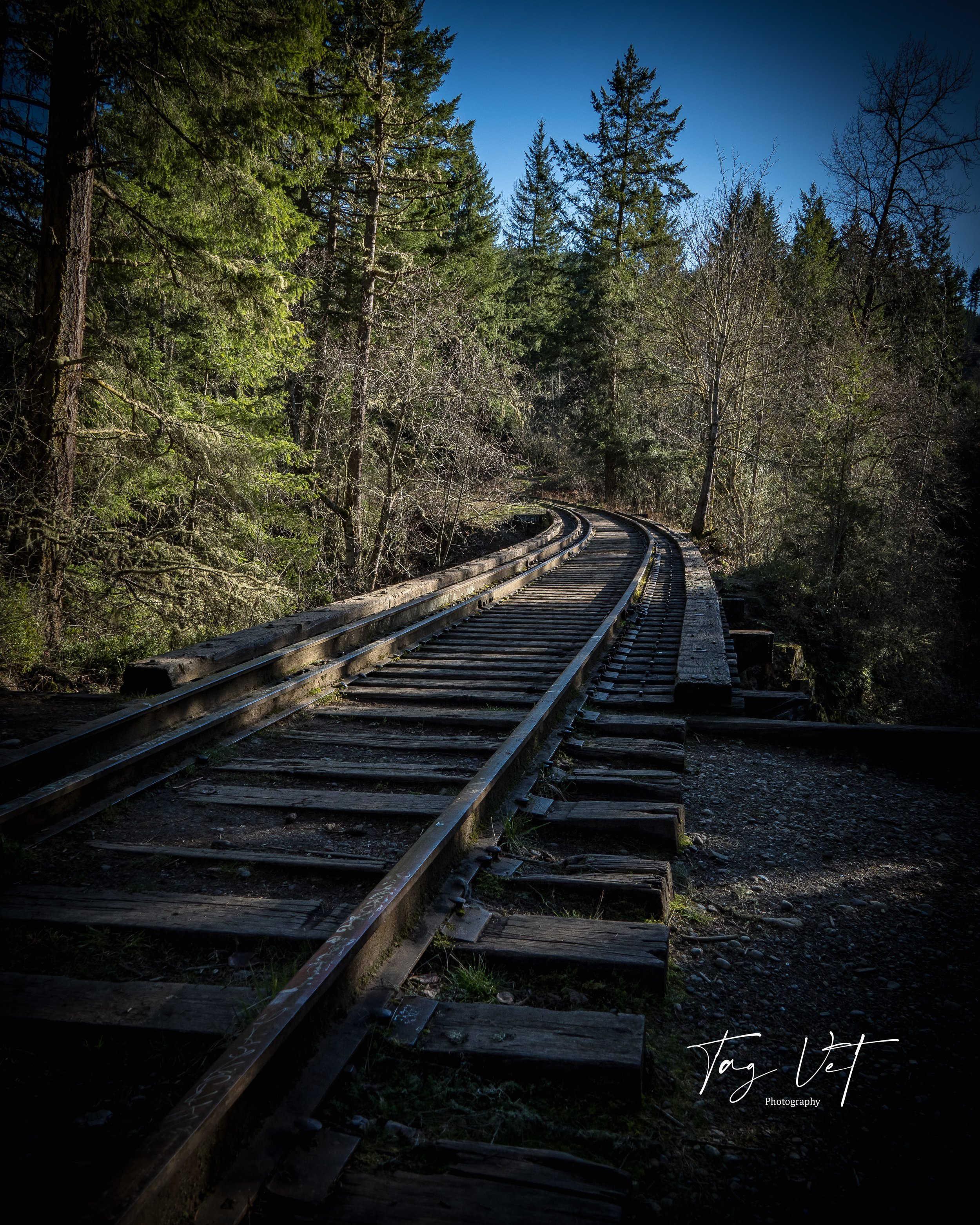 Mashel Falls Train Track.jpg