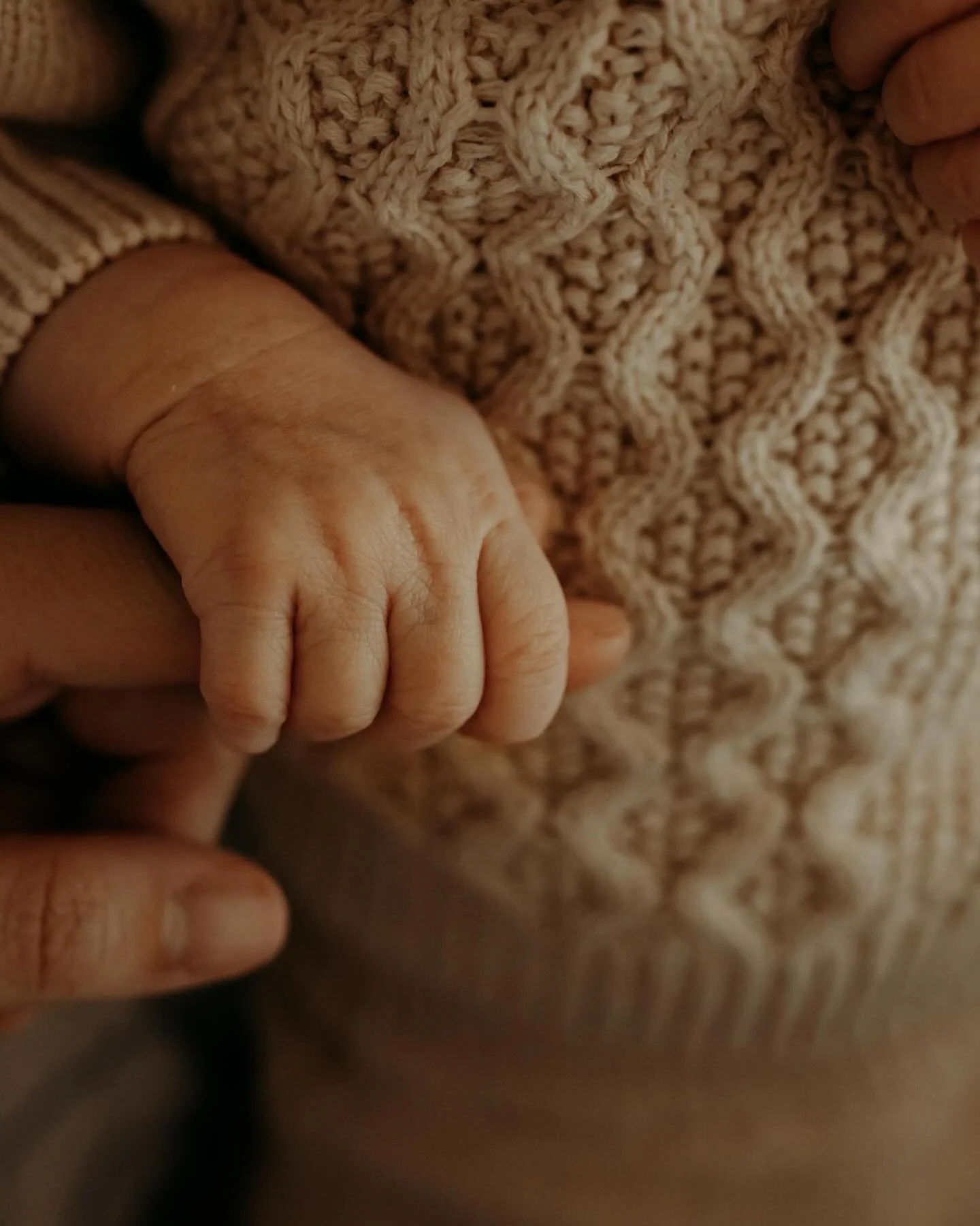 A fresh little babe for the feed. 🤍 What a true blessing it is to capture growing families. I will always be humbled to enter into a space with your new babe. It is not lost on me how special this time of your life is. Thankful for every family who 