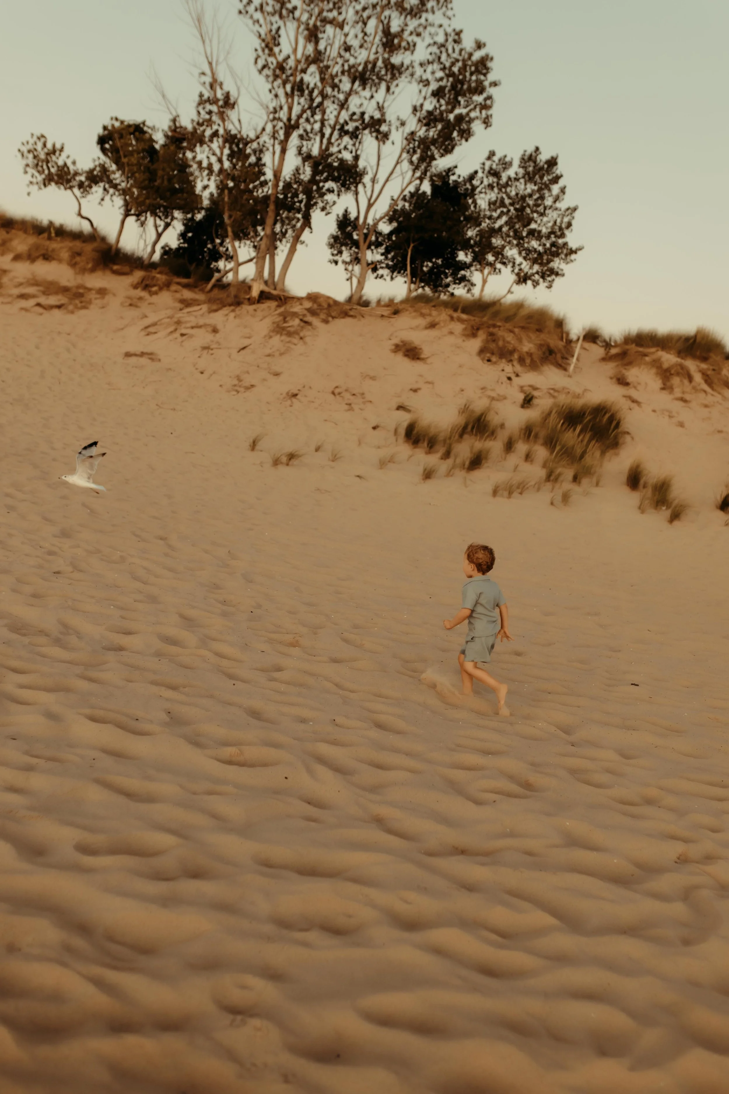 Child chasing seagulls at Oval Beach during a summer photography session in Saugatuck, Michigan