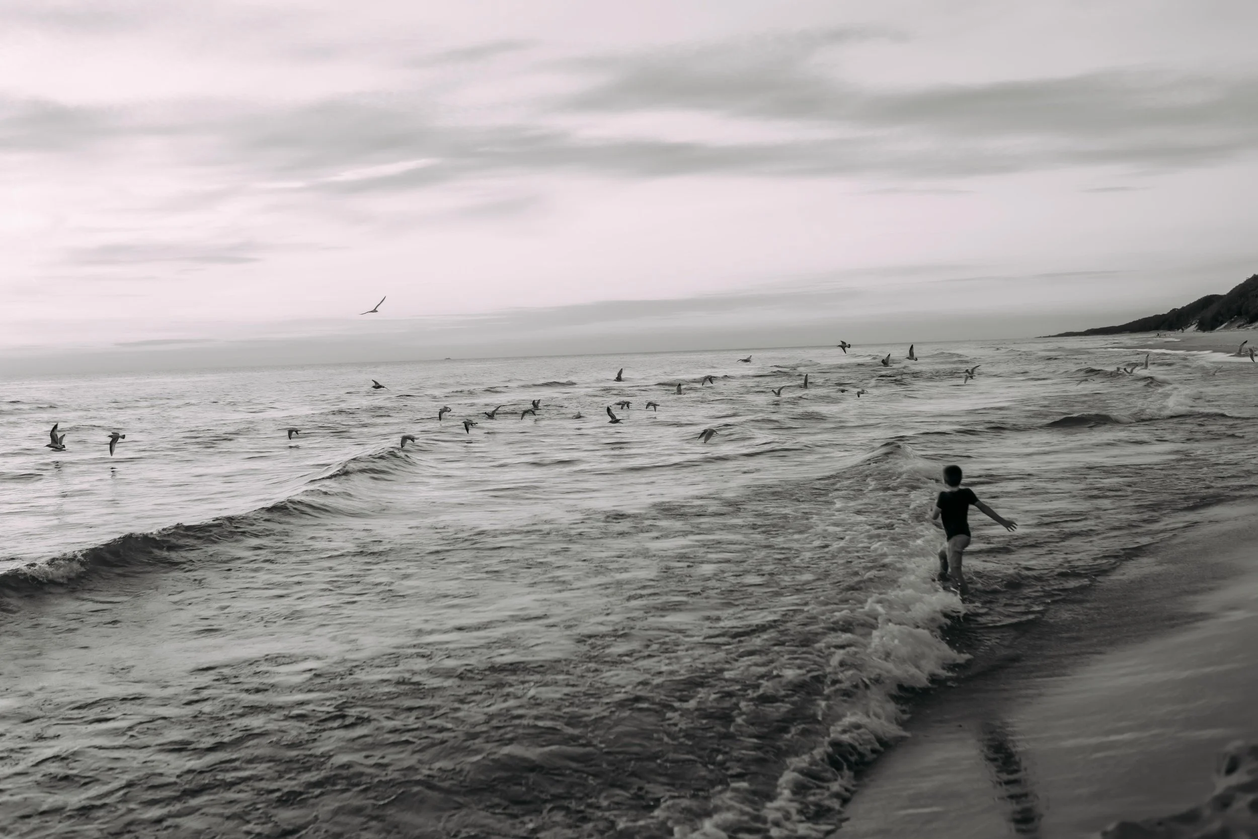 child chasing seagulls at lake michigan