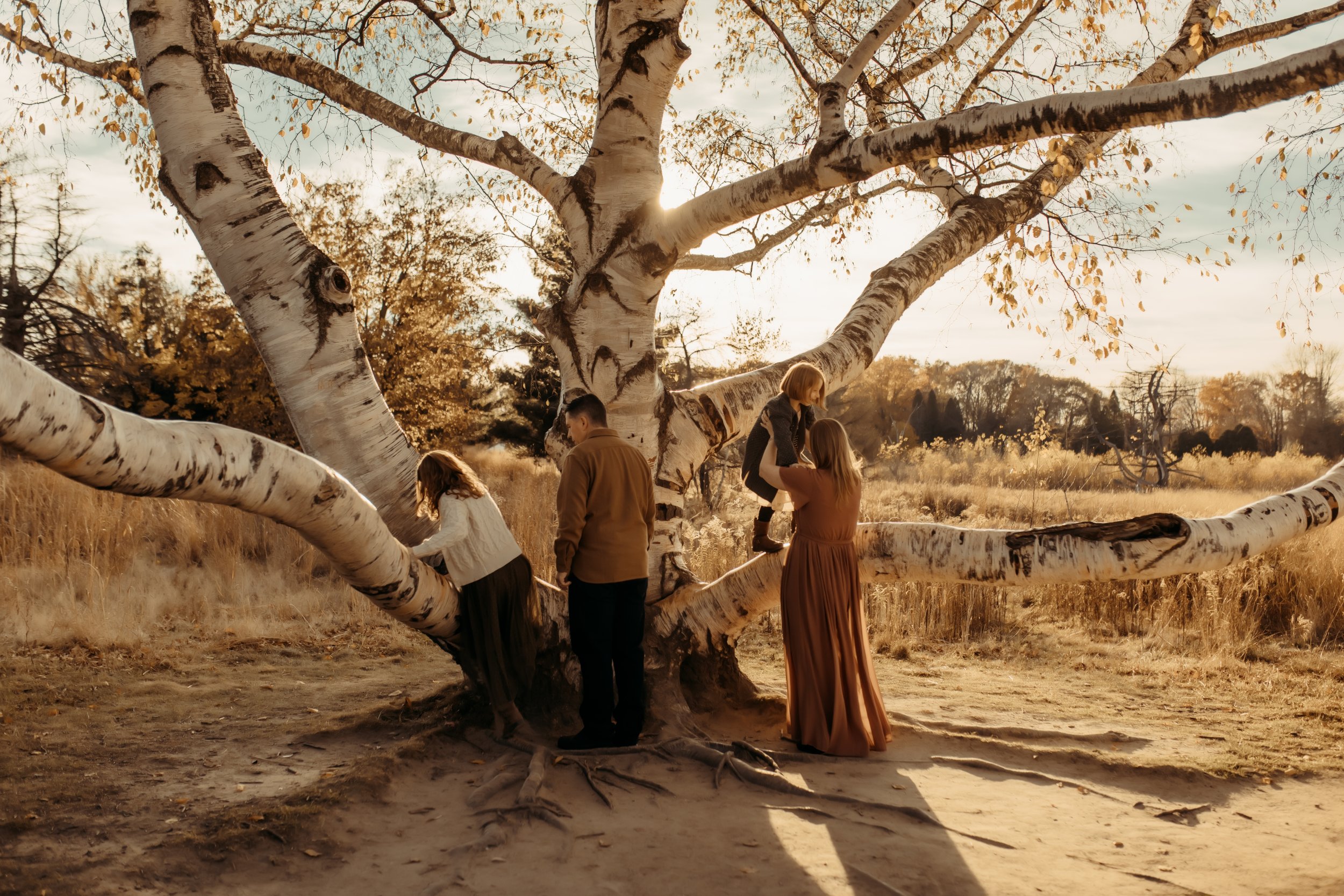 Family climbing a unique tree at The Highlands in Grand Rapids, Michigan during a photo session