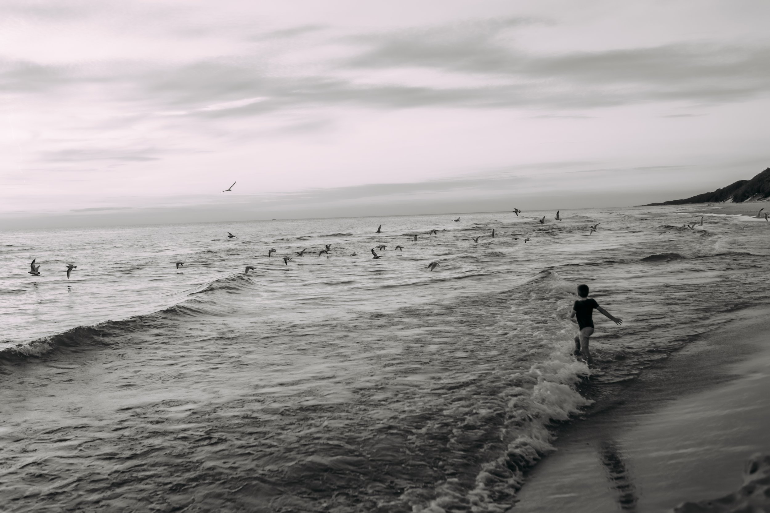 Boy chasing birds along the lakeshore of Lake Michigan in Holland, Michigan