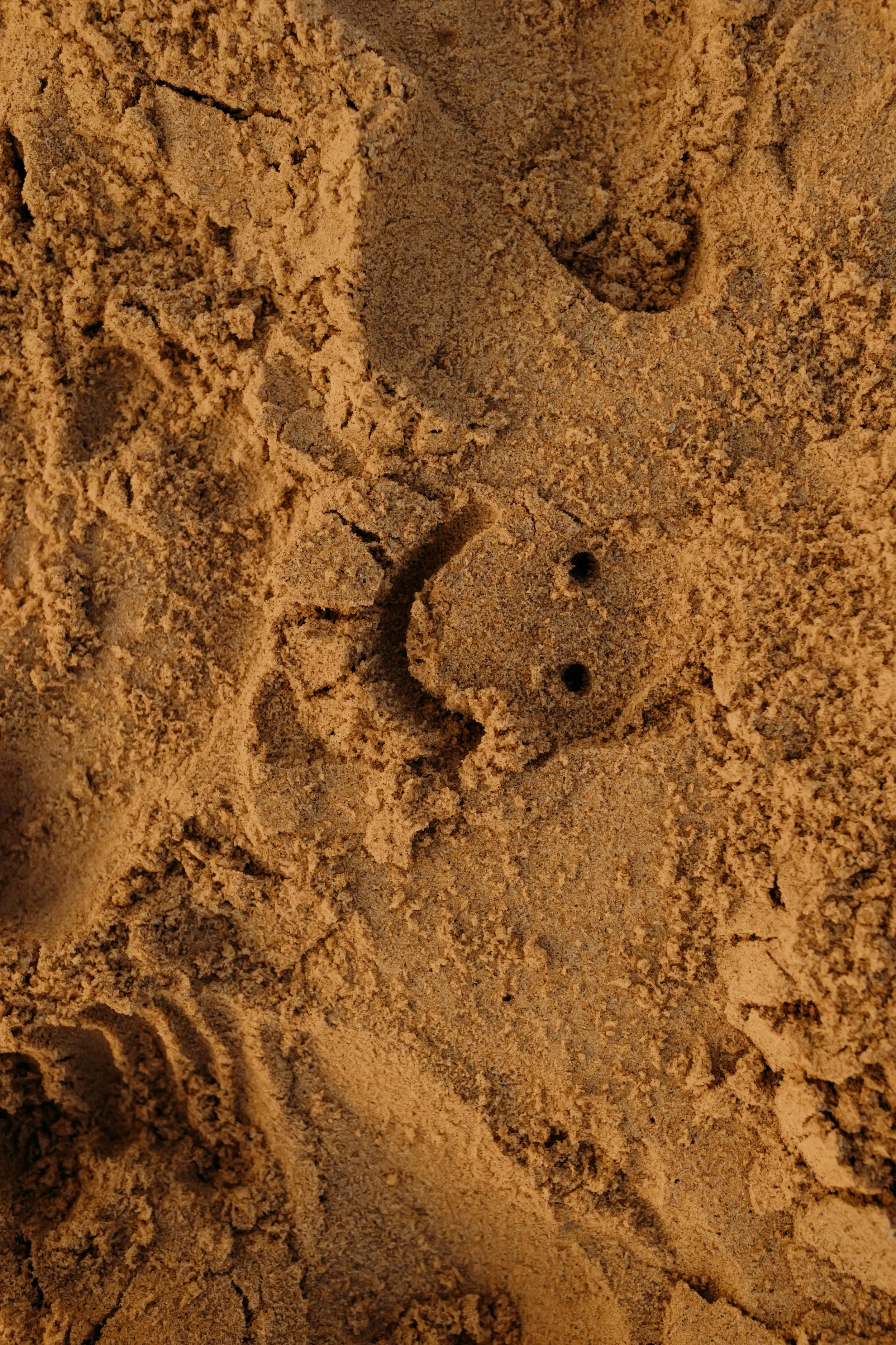 Smiley Face in the sand at Oval Beach in Saugatuck, Michigan
