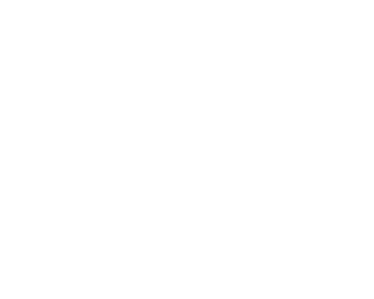 Strauss Marine Group