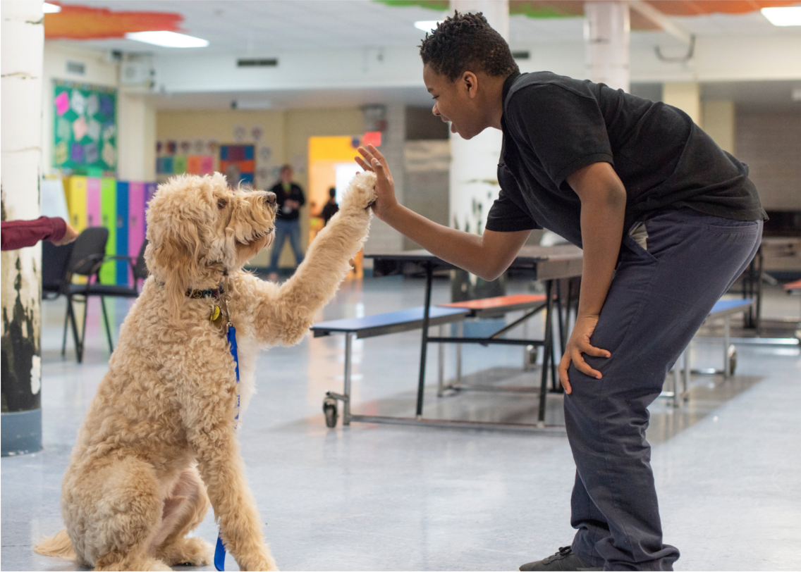 Canine Inspired Change: How One Dog Makes a Difference