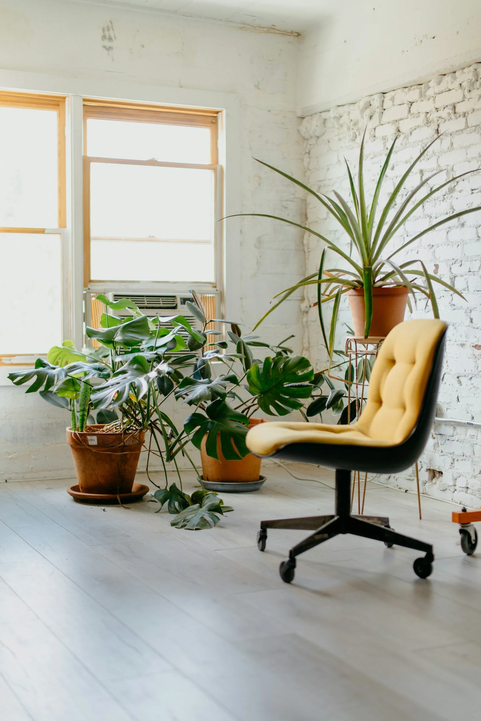 An indoor space with a white brick wall, large windows, indoor potted plants, and a modern yellow office chair on wheels.