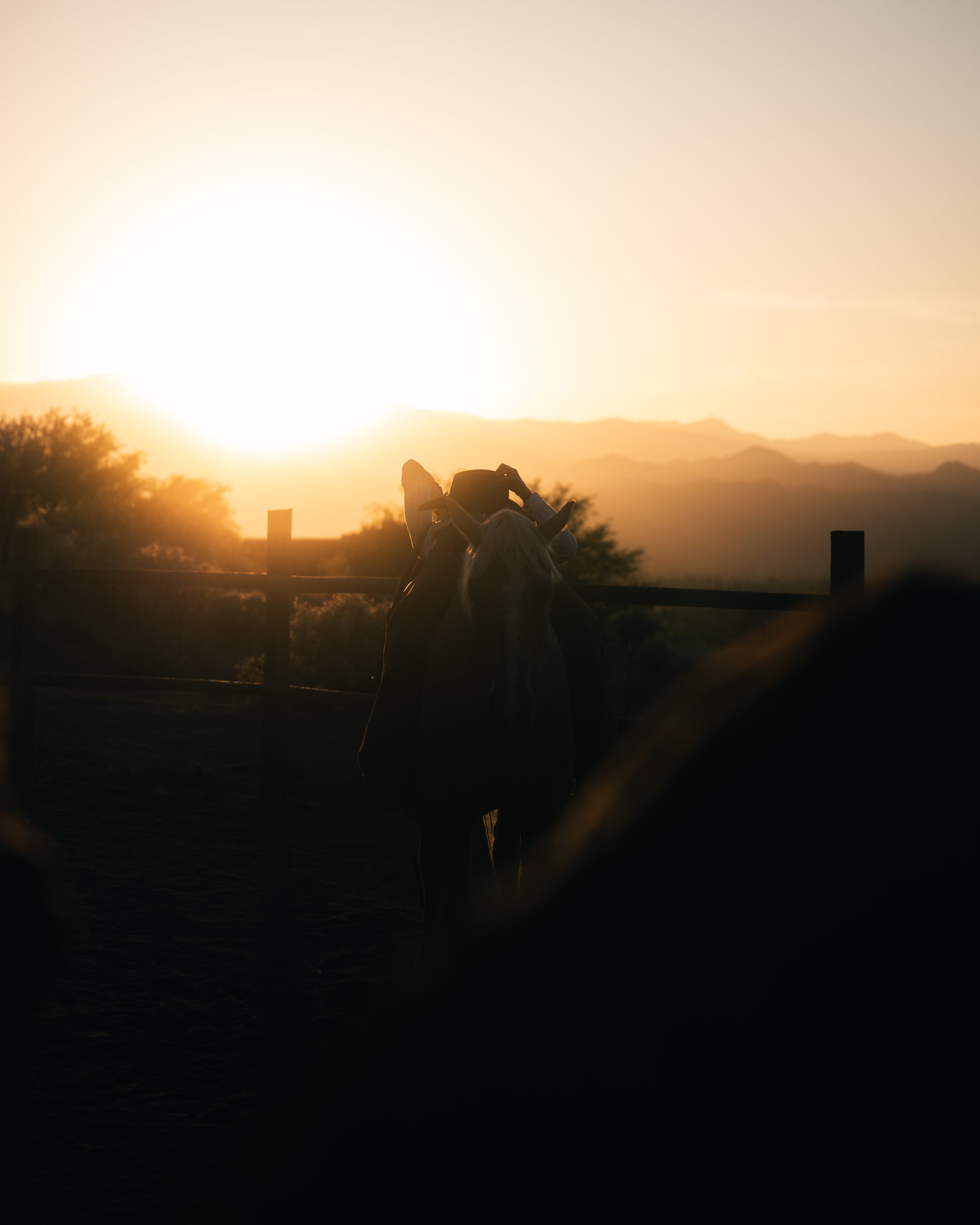 cowgirl laying back on horse at sunset