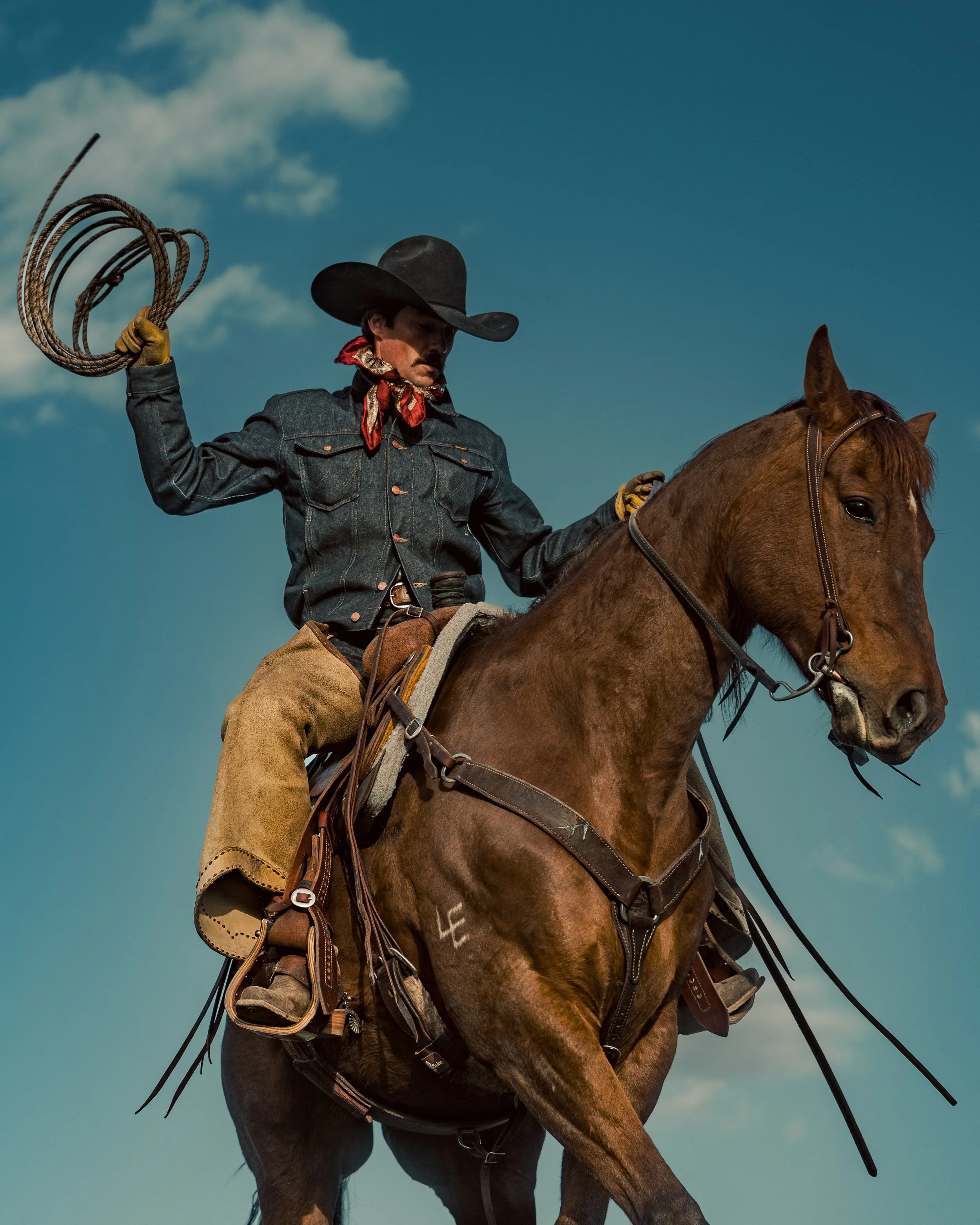 cowboy riding horse with rope in hand