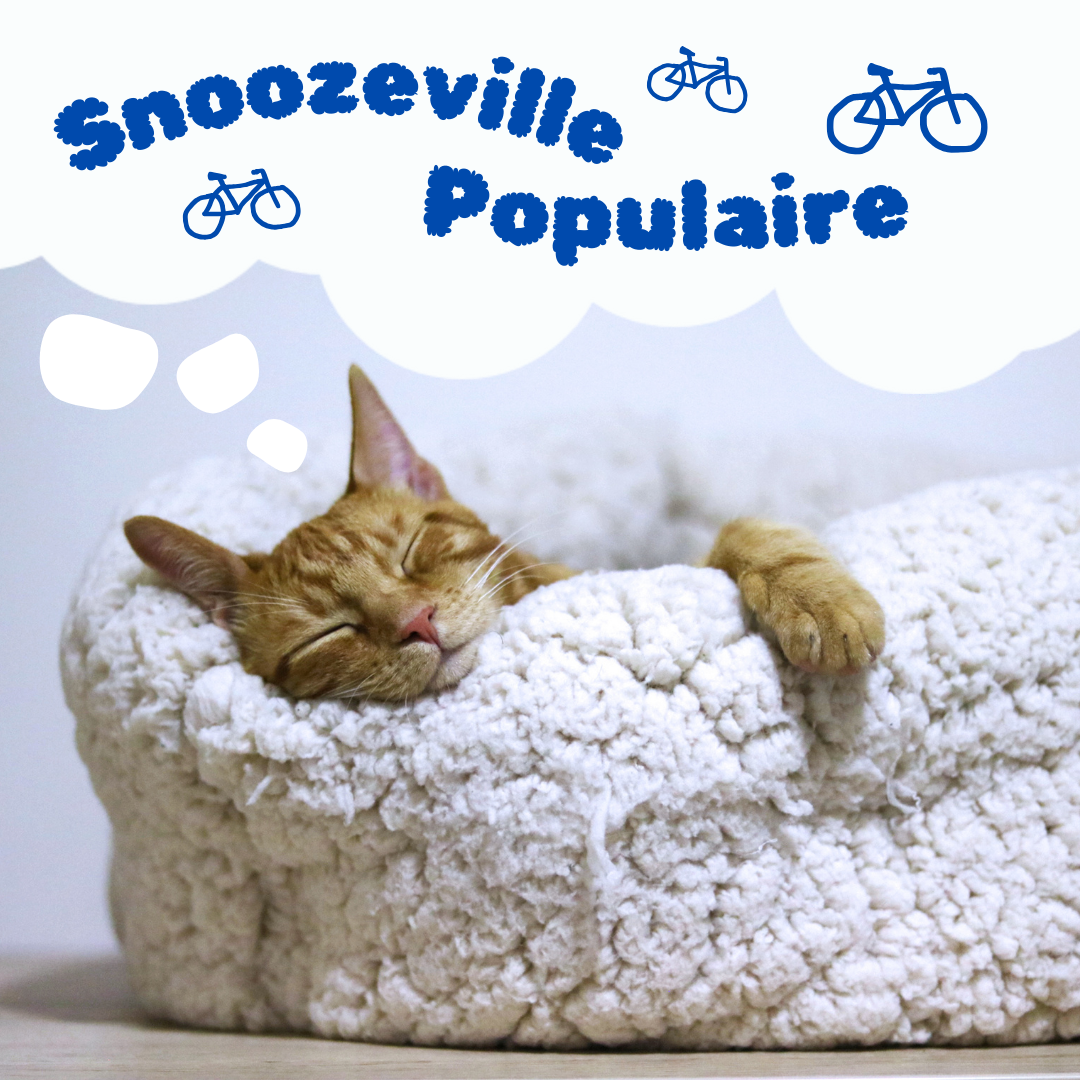 Snoozeville Populaire 100k