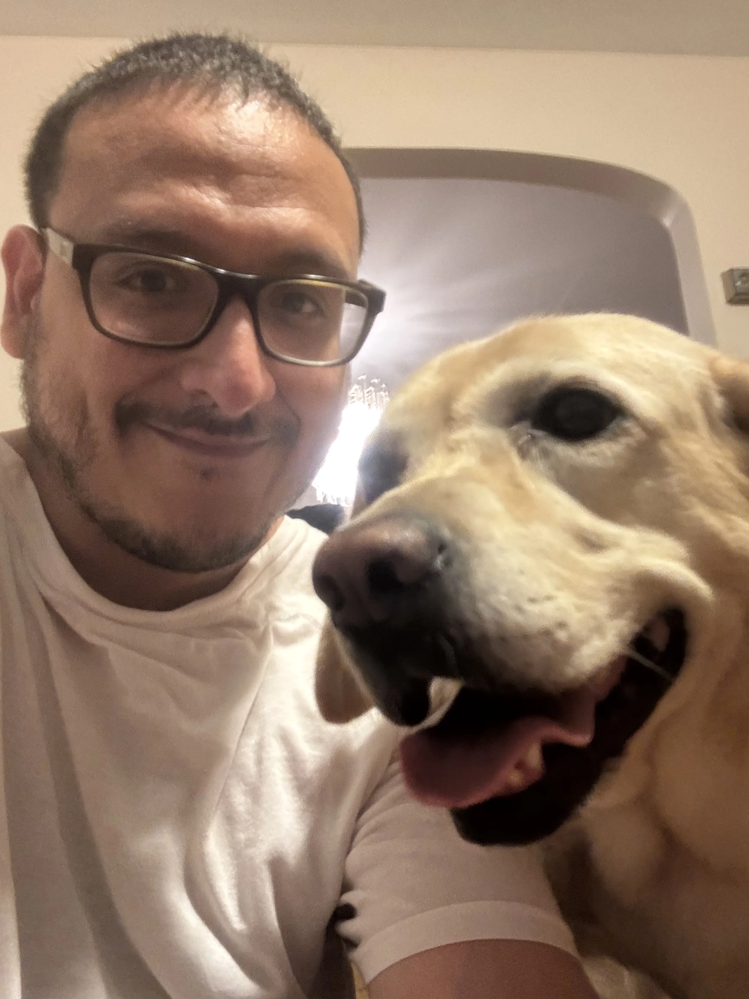 A man with glasses smiling next to a happy yellow Labrador retriever.