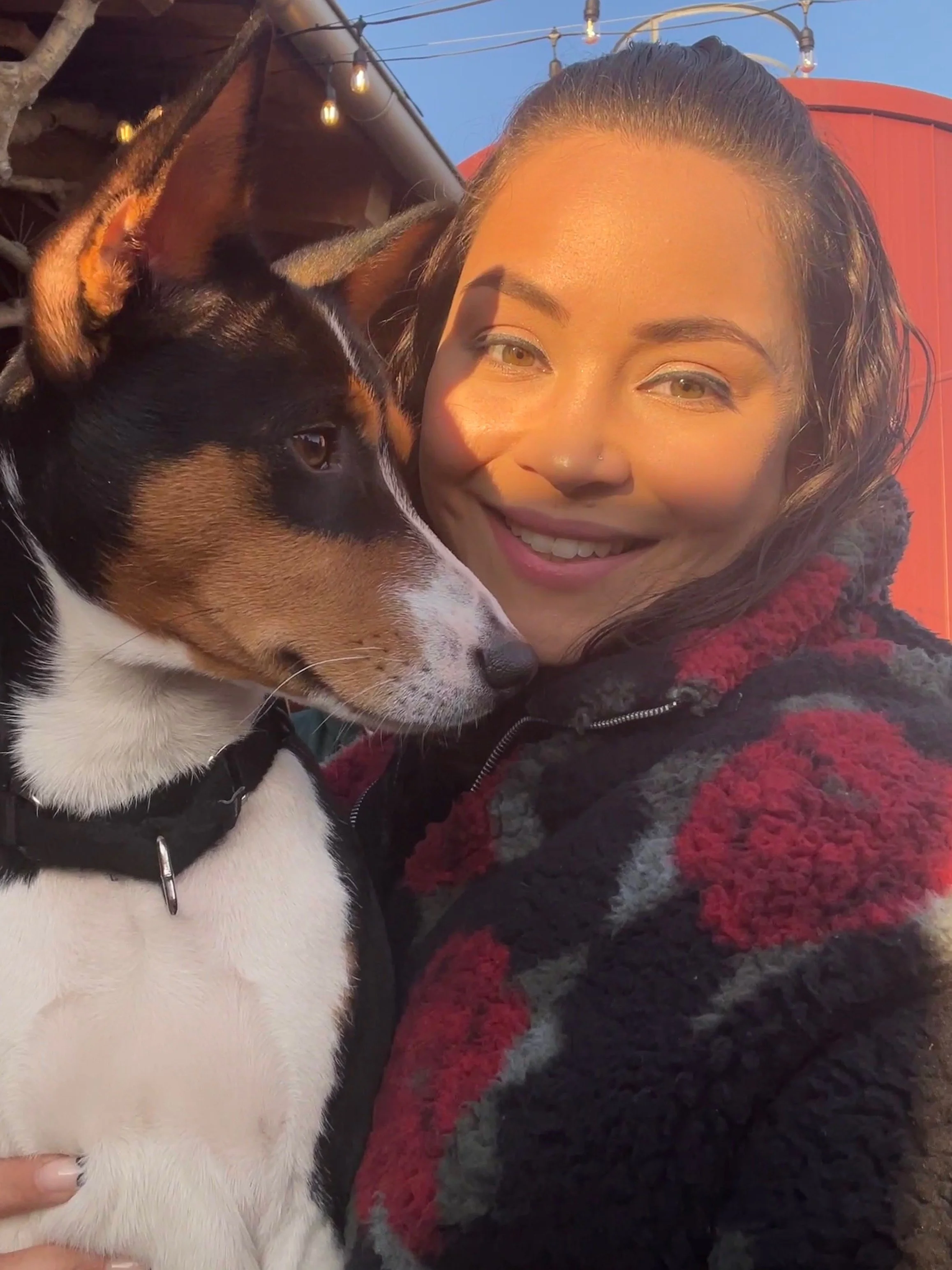 A woman and a tricolor dog are close together, smiling and enjoying the moment outdoors during sunset.