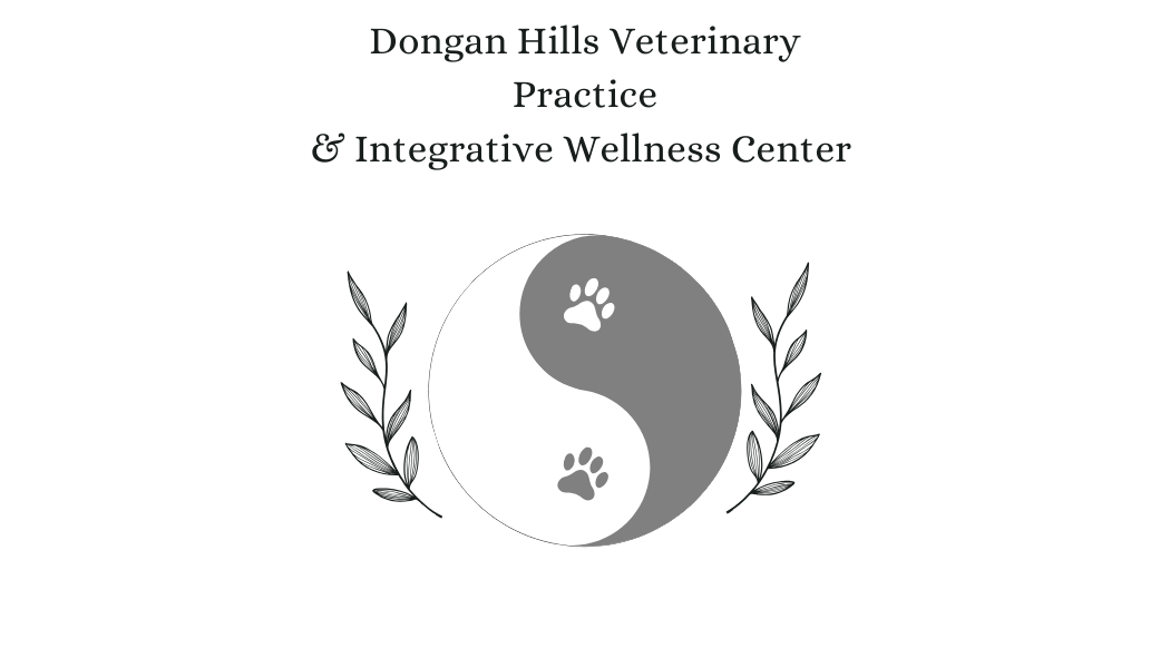 Black background with text 'Dongan Hills Veterinary Practice & Integrative Wellness Center'. In the center, a yin-yang symbol with dog and cat paw prints and surrounded by olive branches.