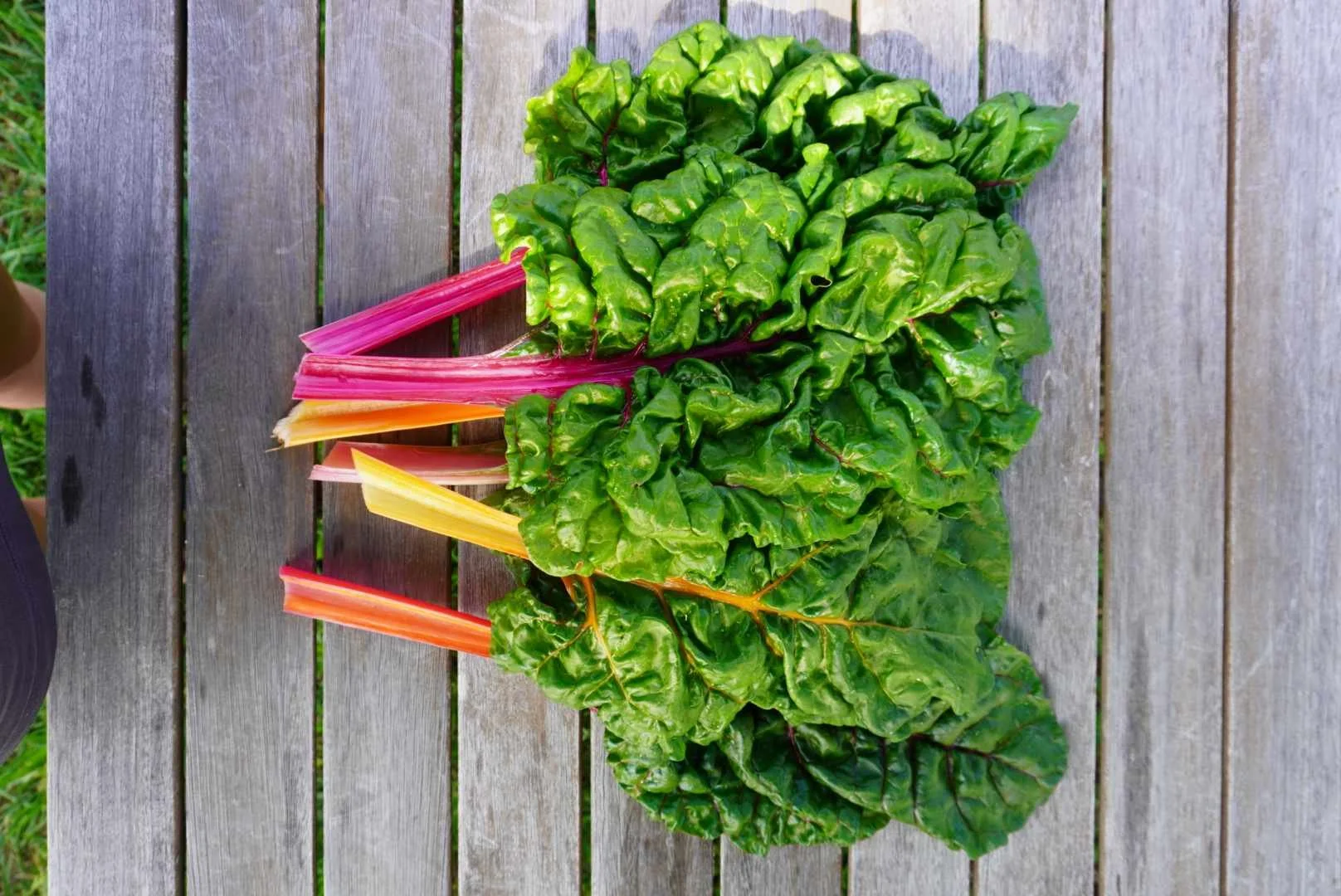 Silverbeet/Rainbow Chard