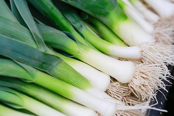 leek.jpg