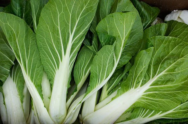 bok choy.jpg