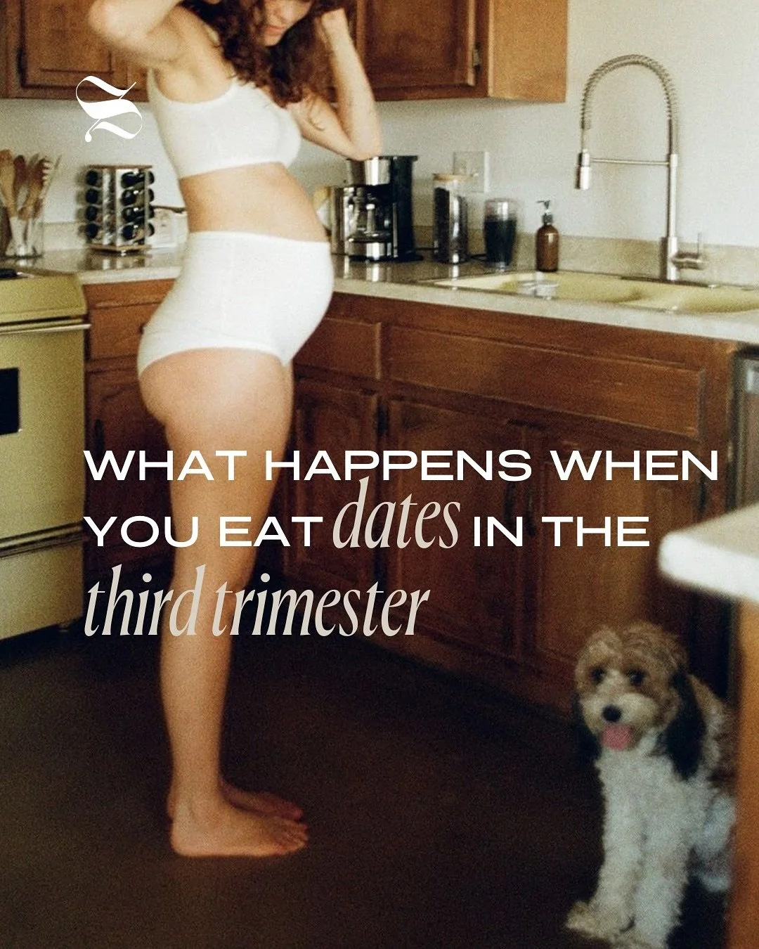 did you know that eating dates in your third trimester could be this beneficial?? 🙌

for more tips &amp; tricks on all things pregnancy, fertility, postpartum, motherhood and more, visit the link in our bio to join our snatch-chat community today!

