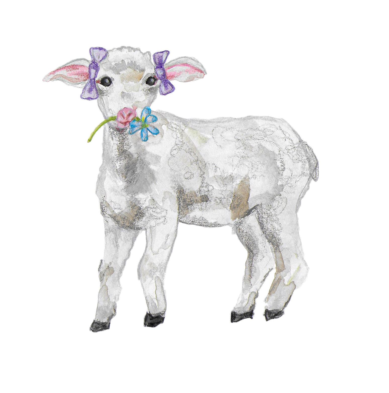 lamb edited copy.png