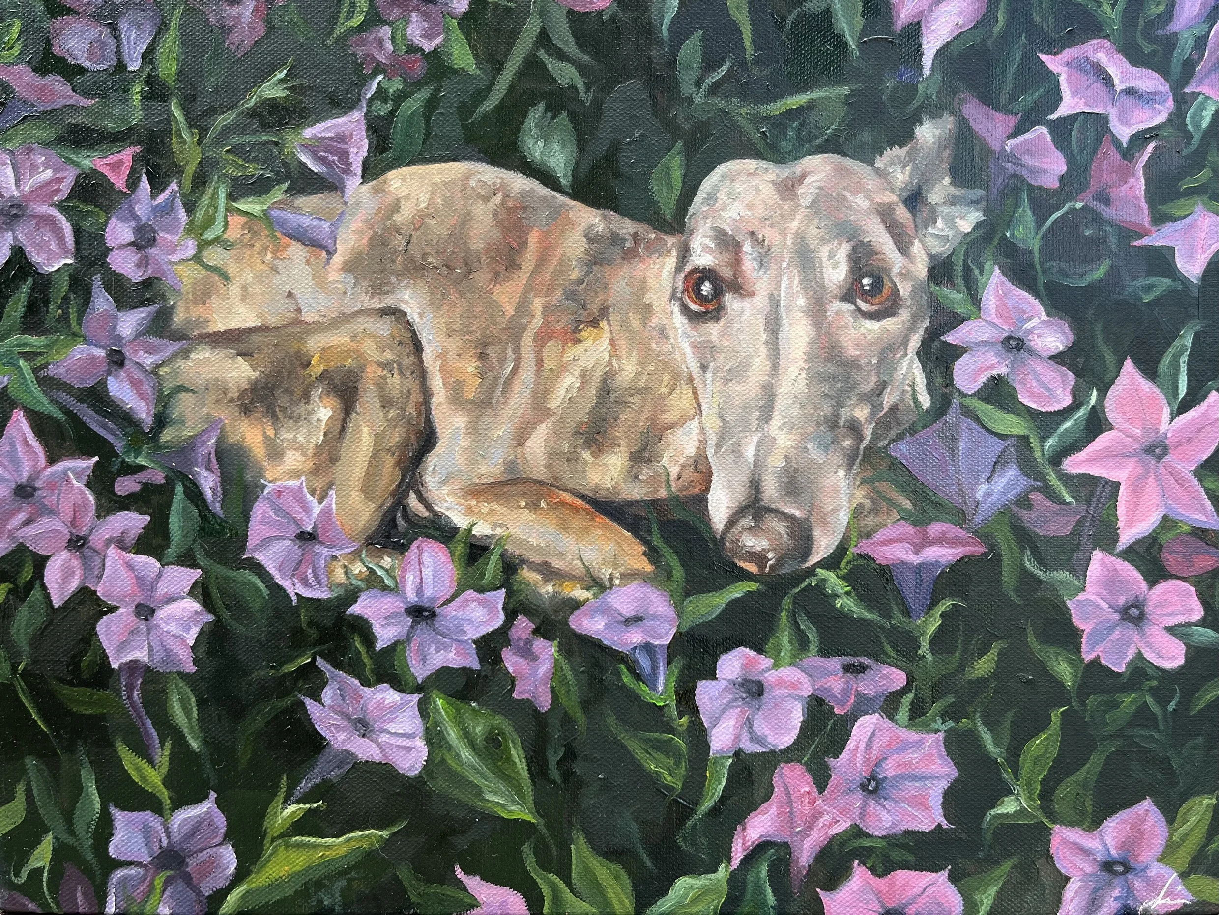 Pippin in the Flowerbed (2024)