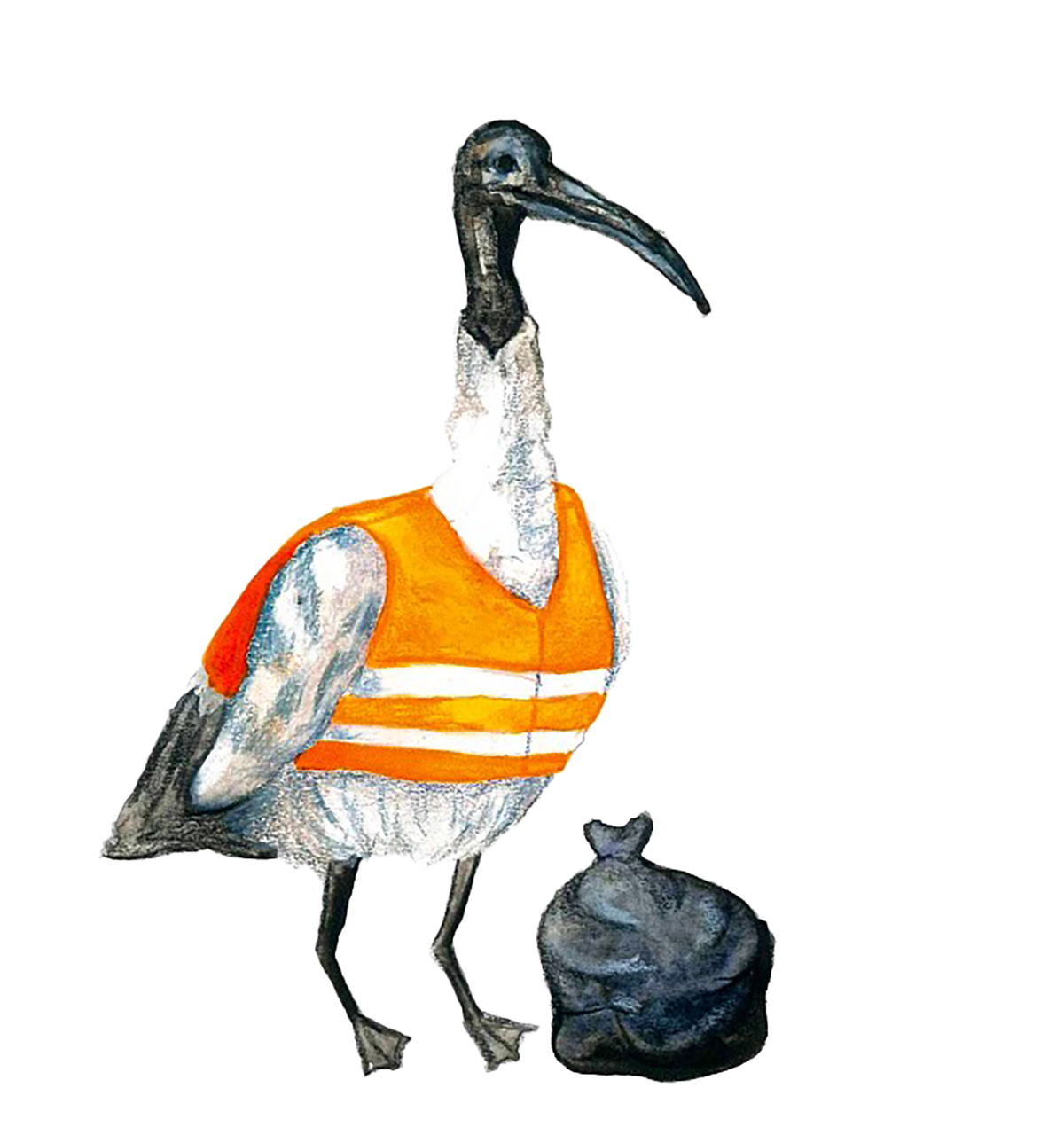 bin chicken 300dpi copy.png