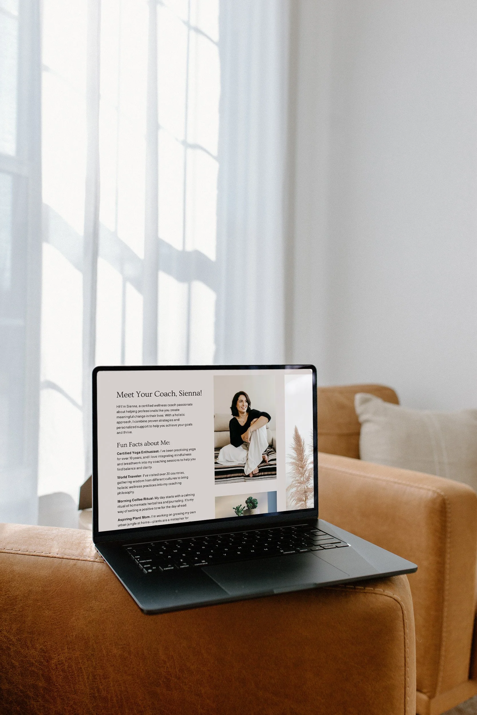 Template - Spotlight — Studio Starlet